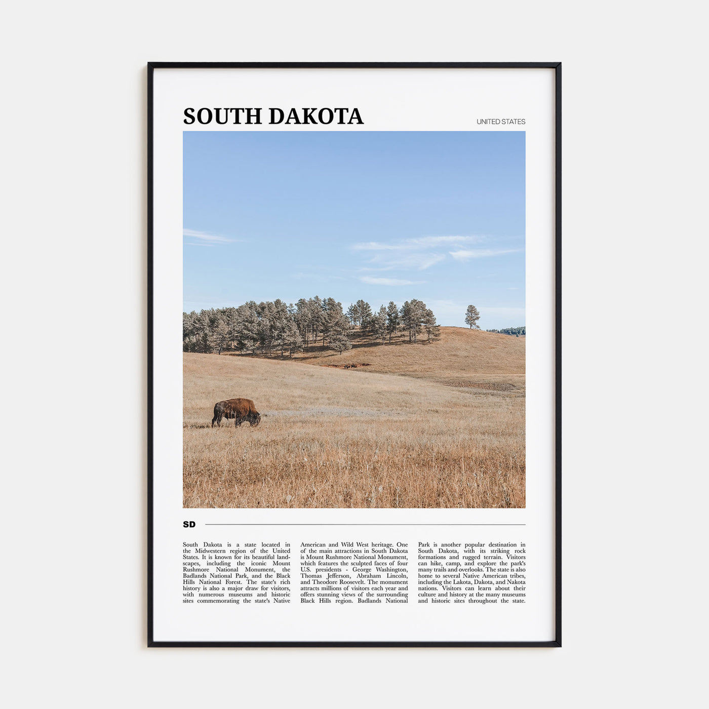 South Dakota Travel Color Poster