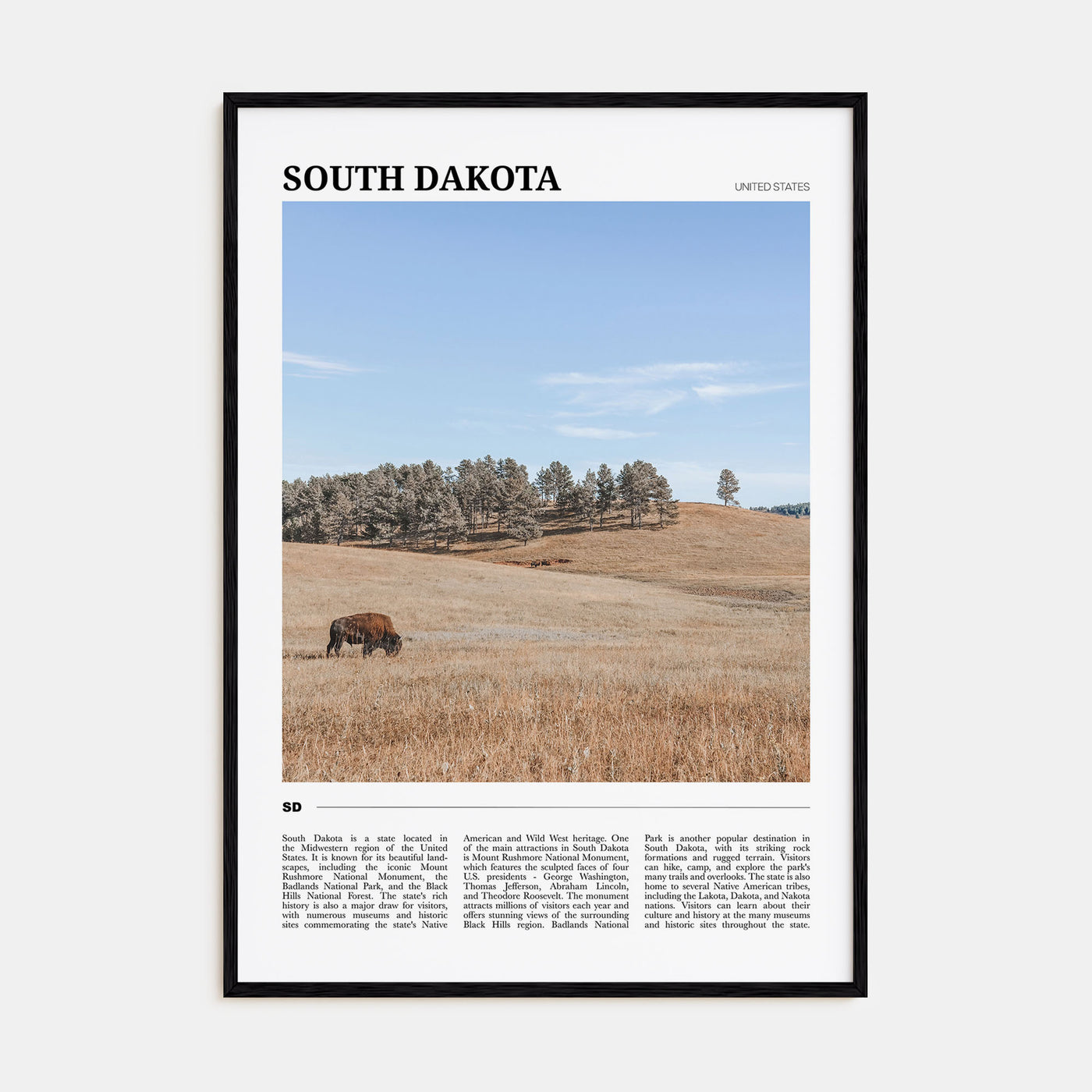 South Dakota Travel Color Poster