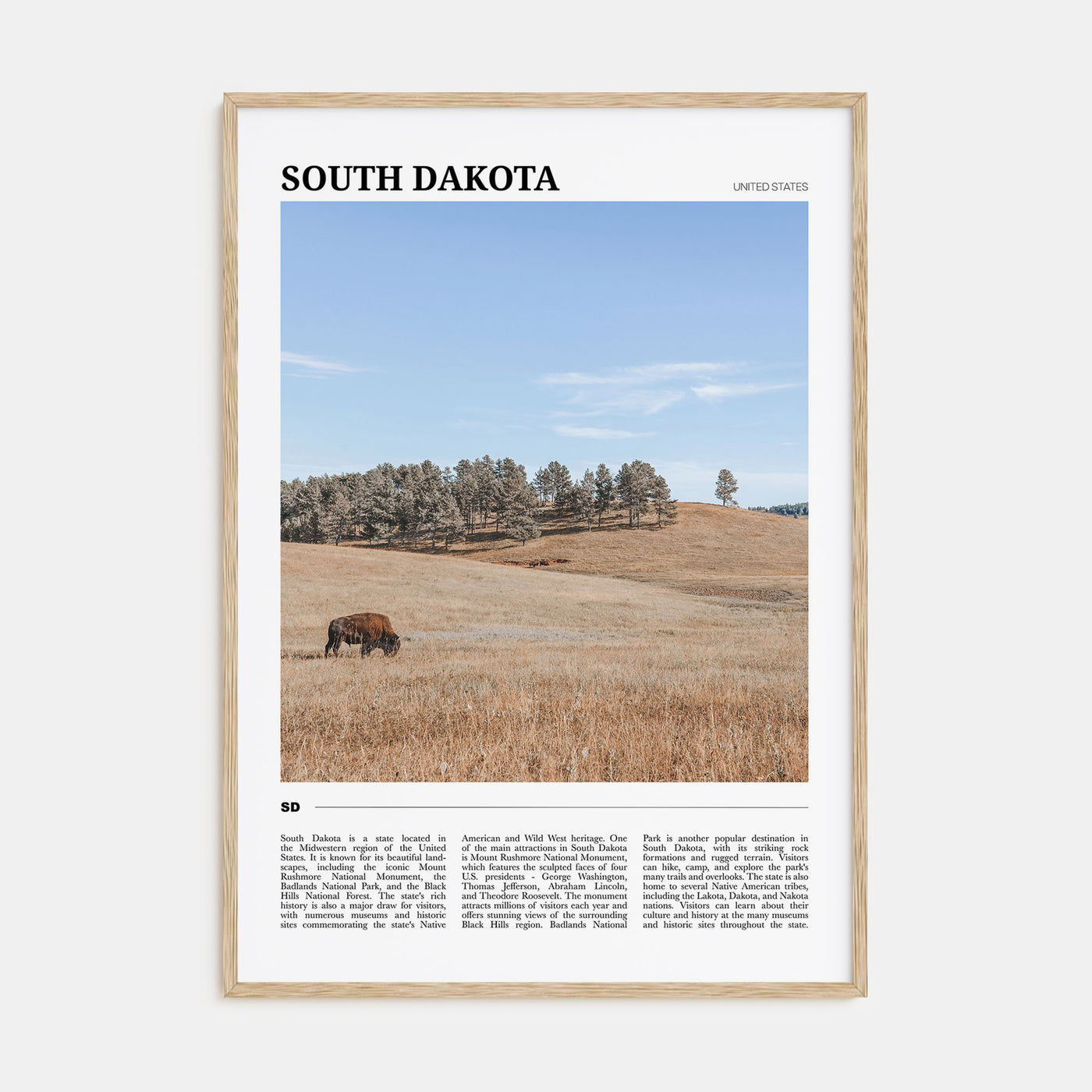 South Dakota Travel Color Poster