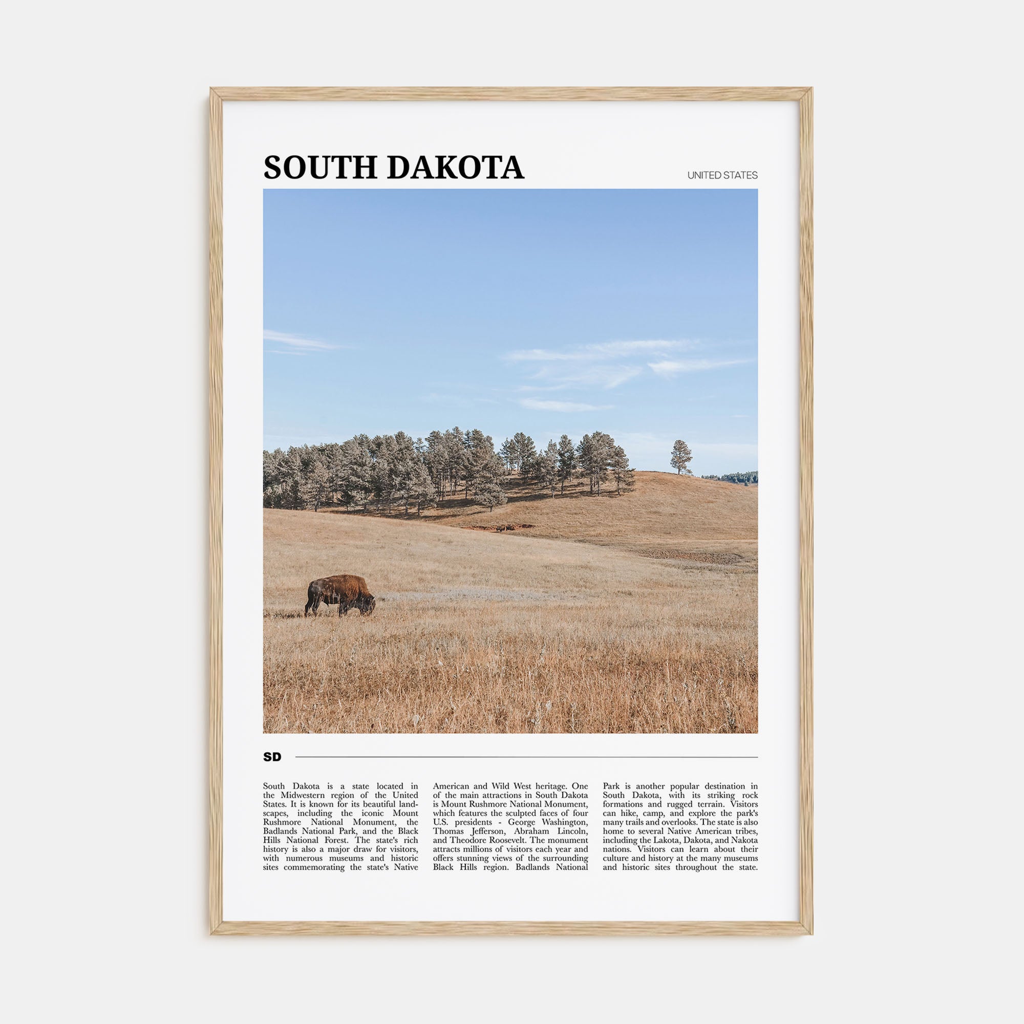 South Dakota Travel Color Poster