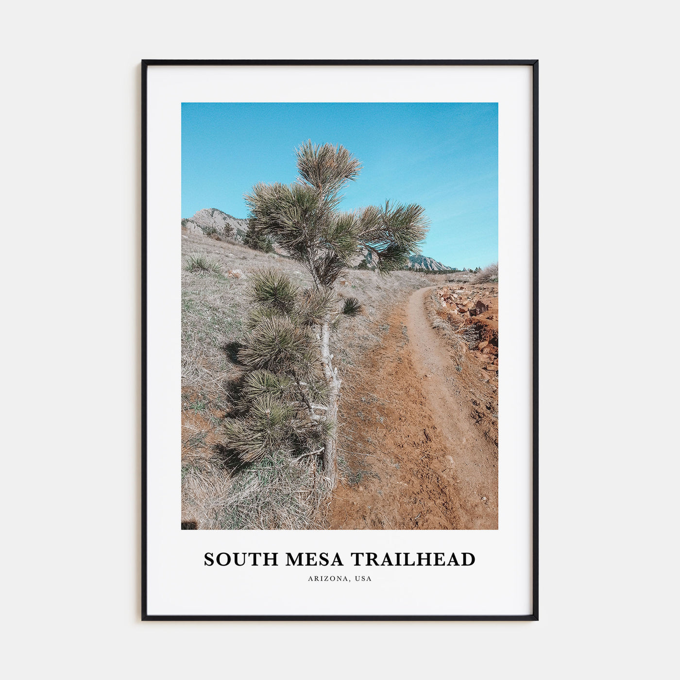 South Mesa Trailhead Portrait Color Poster