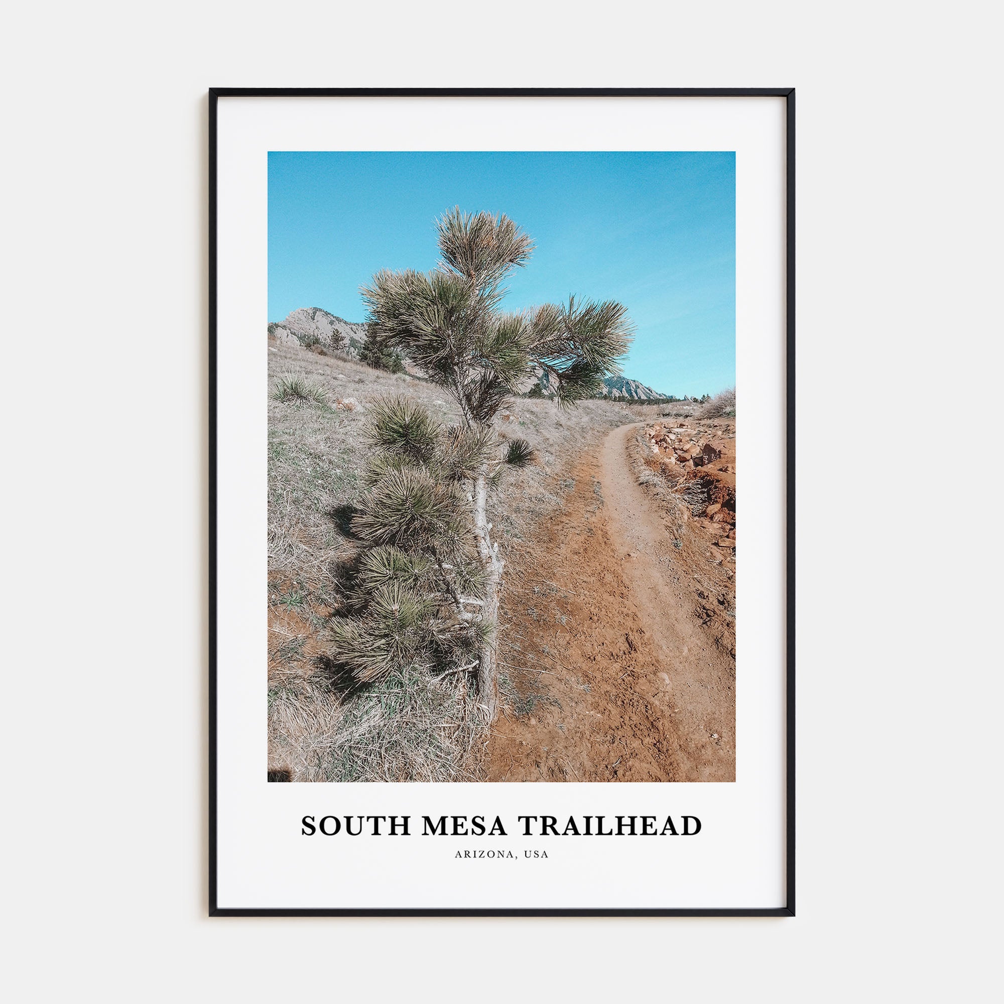 South Mesa Trailhead Portrait Color Poster