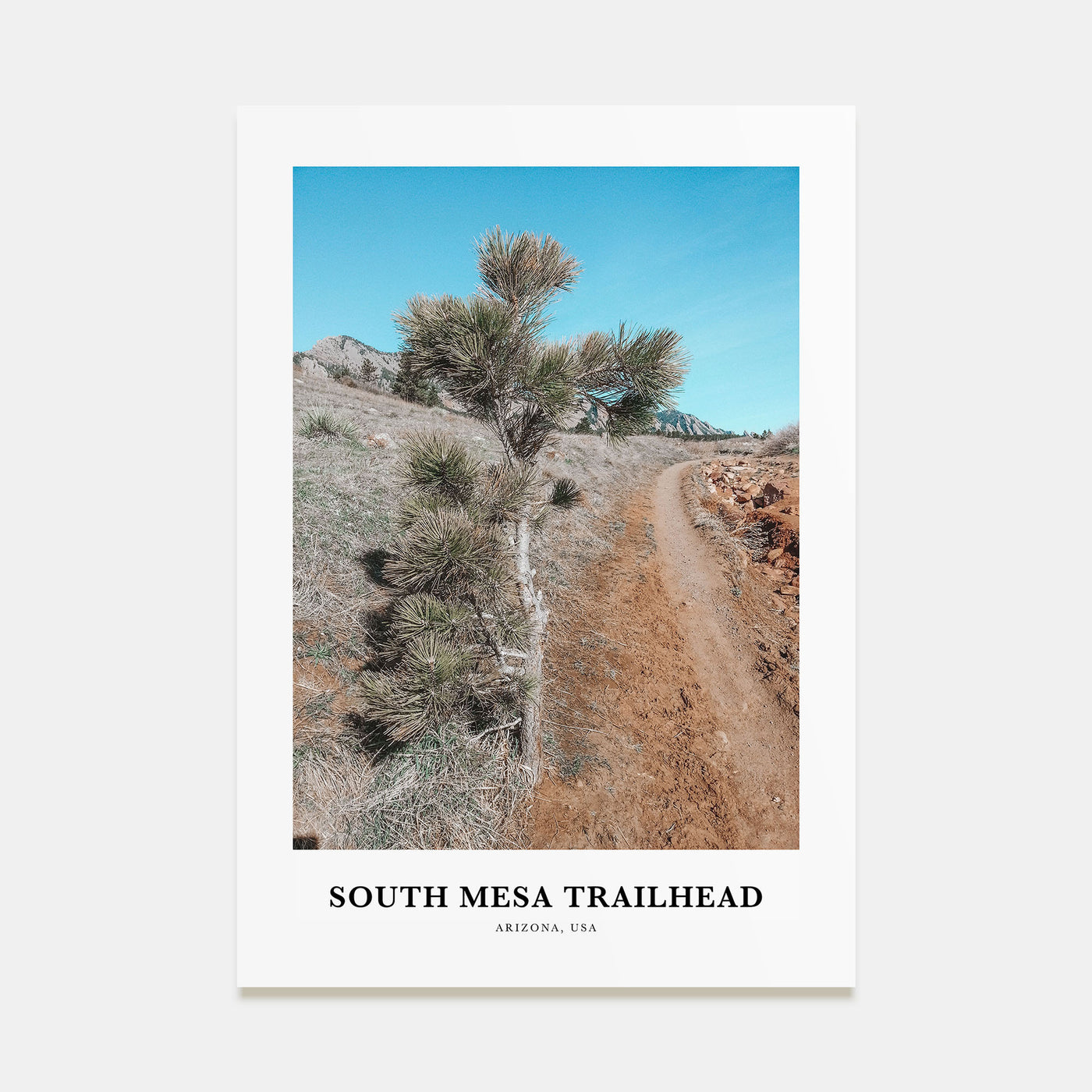South Mesa Trailhead Portrait Color Poster