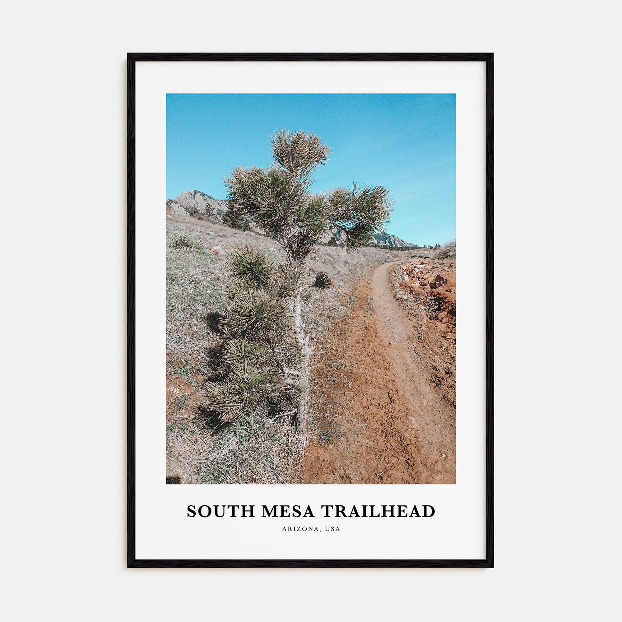 South Mesa Trailhead Portrait Color Poster