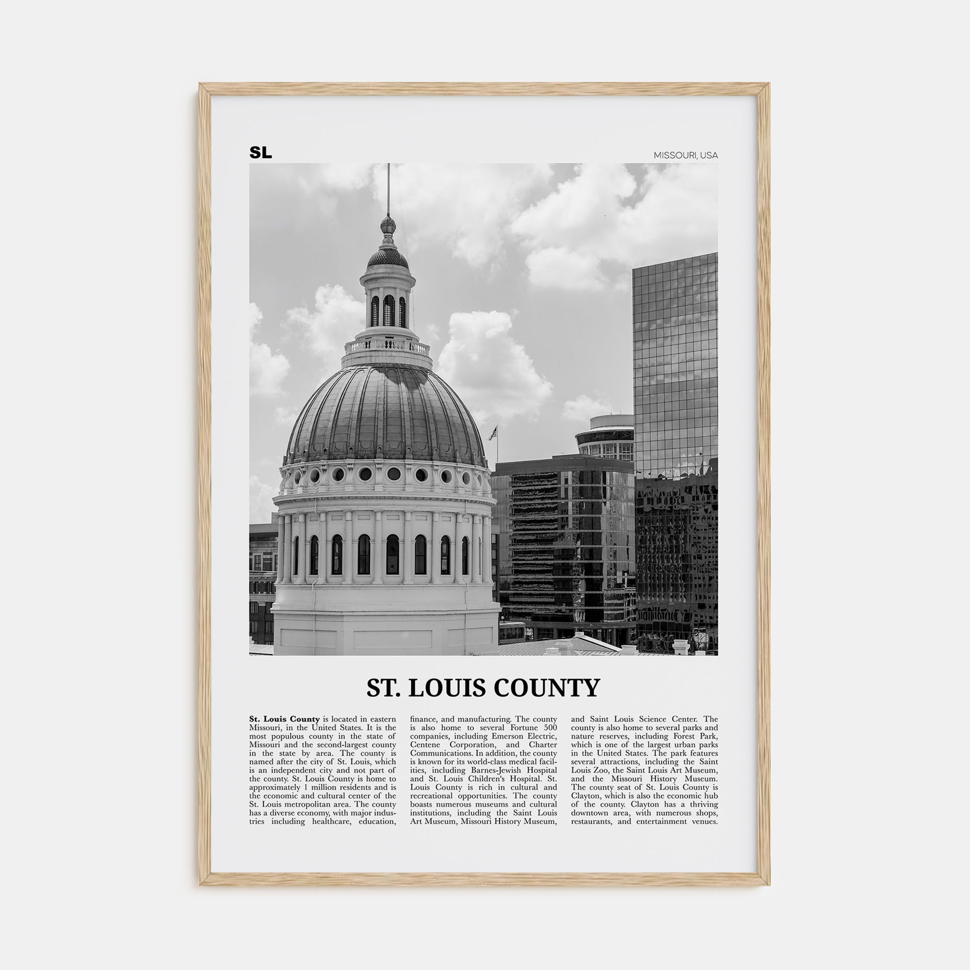 St. Louis County Travel B&W Poster