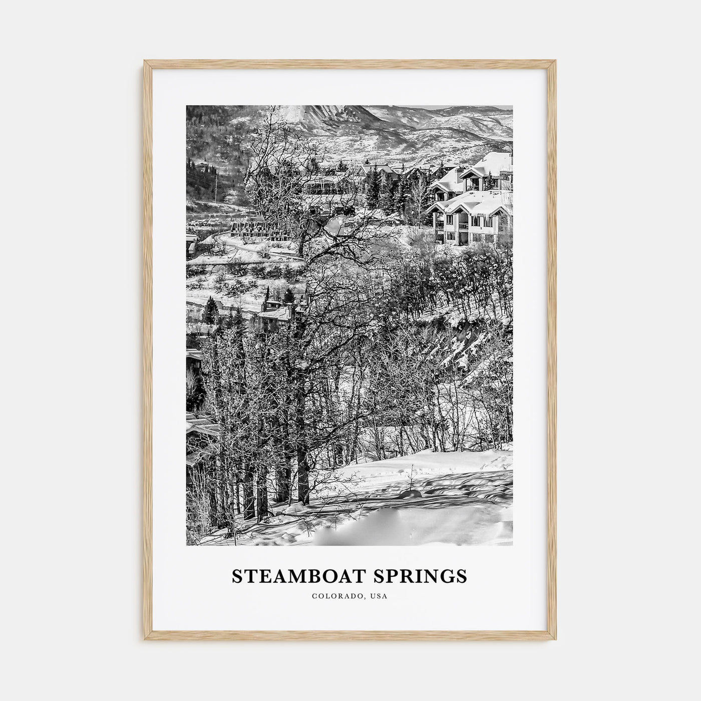 Steamboat Springs Portrait B&W Poster