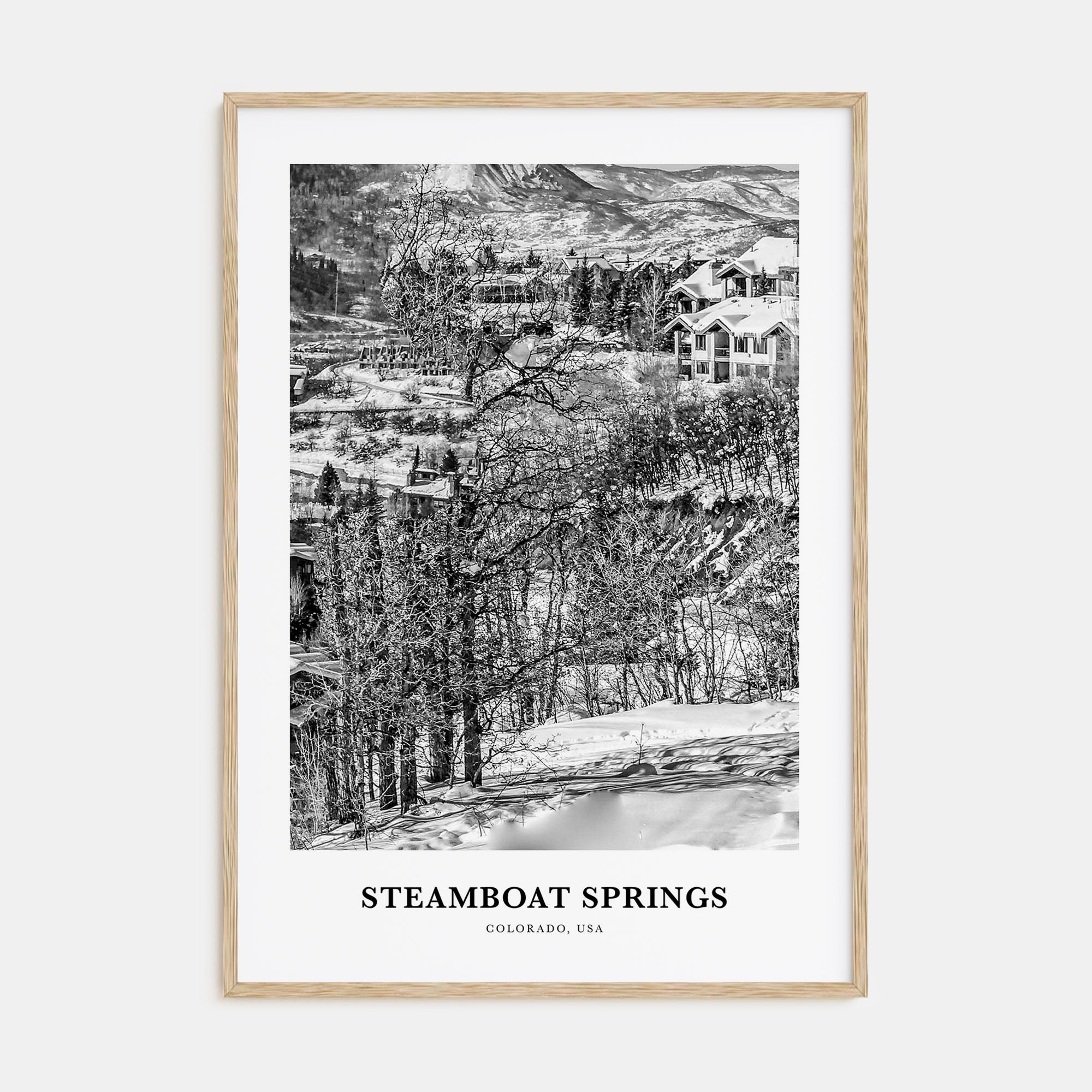 Steamboat Springs Portrait B&W Poster