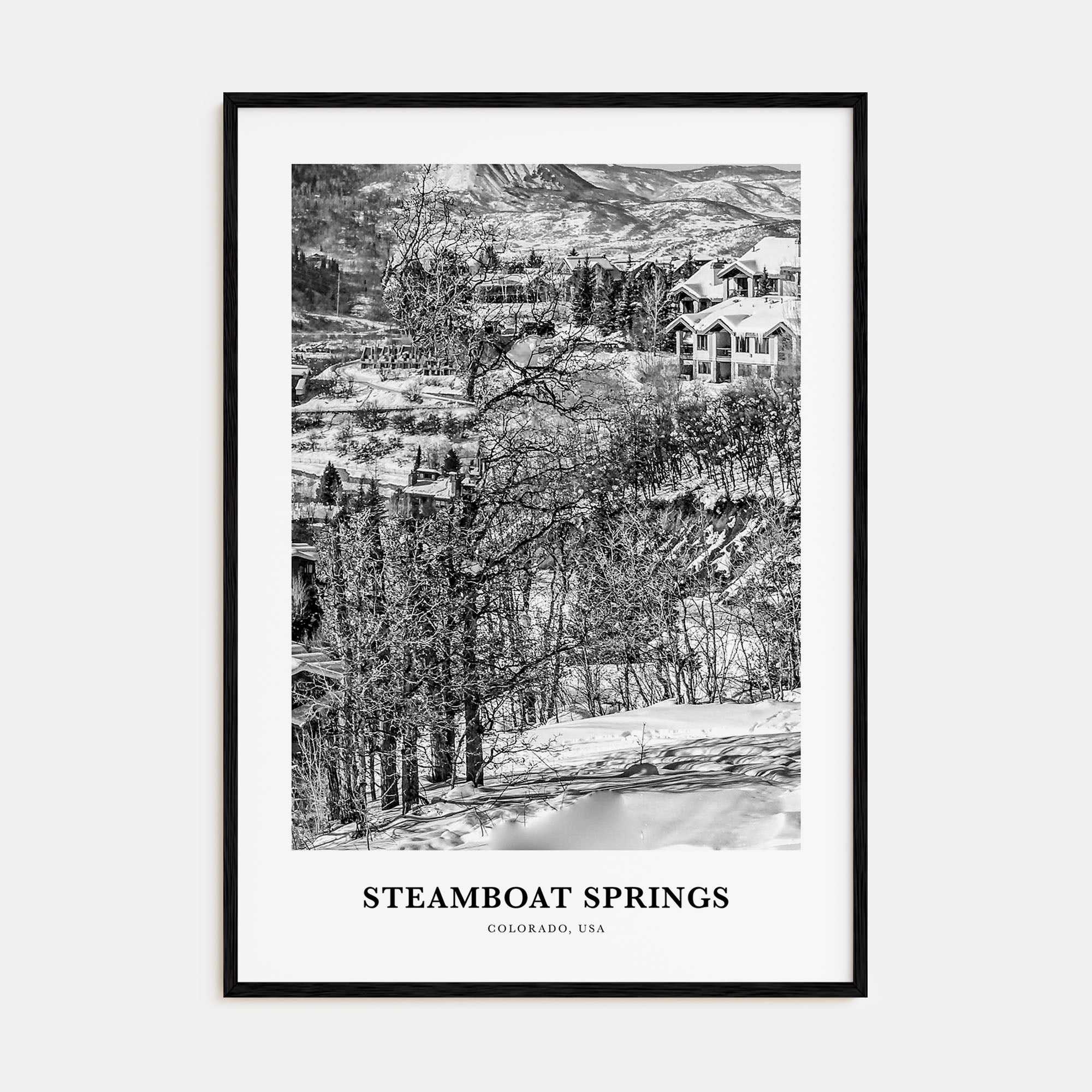 Steamboat Springs Portrait B&W Poster