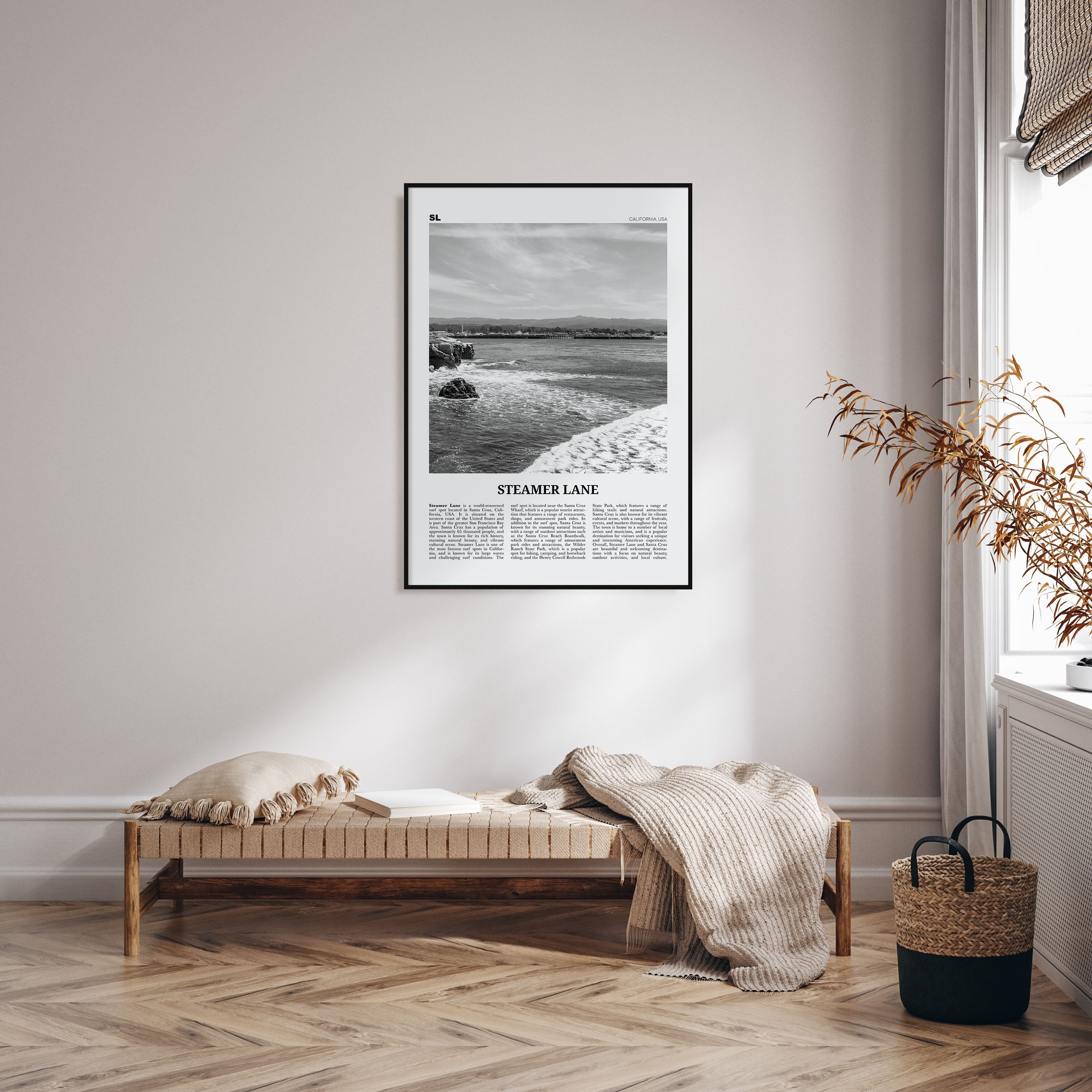 Steamer Lane Travel B&W Poster