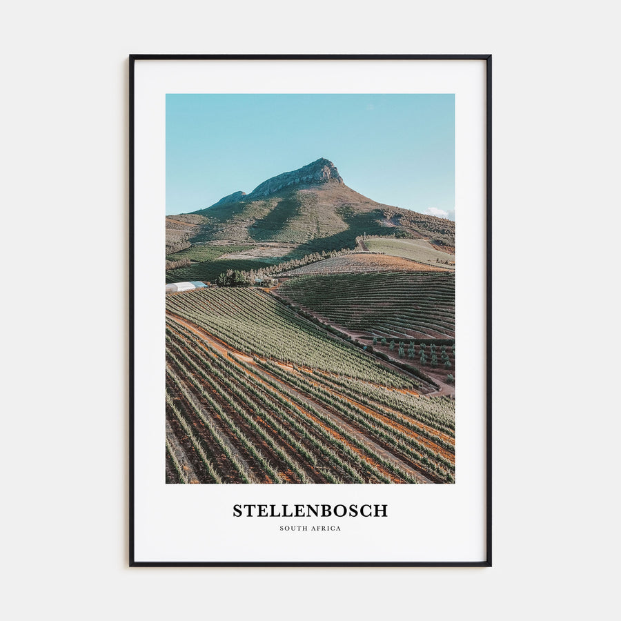 Stellenbosch Portrait Color Poster