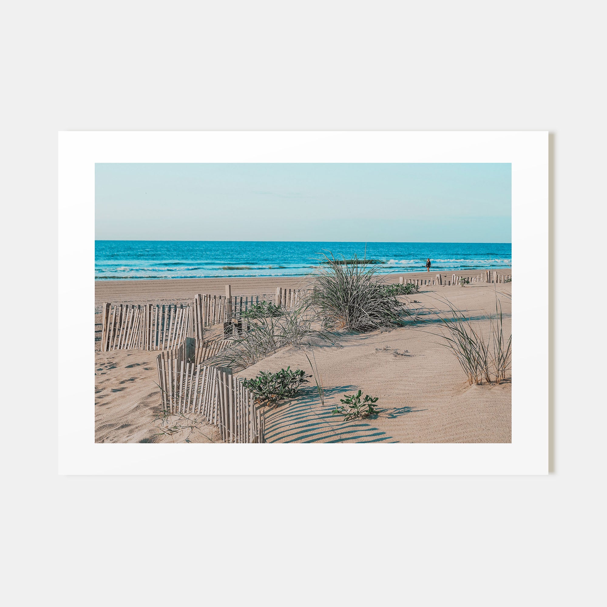 Stone Harbor Landscape Color Poster