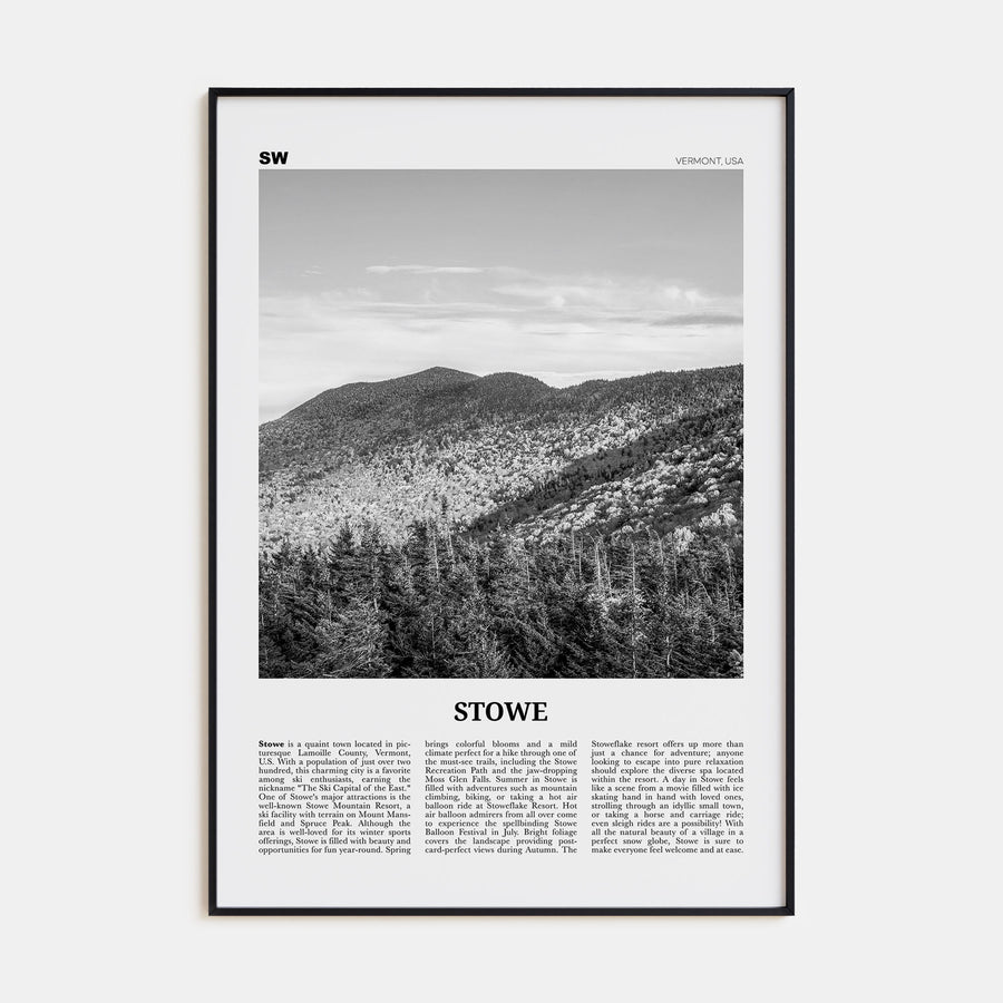 Stowe Travel B&W No 2 Poster