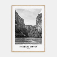Sumidero Canyon Portrait B&W Poster