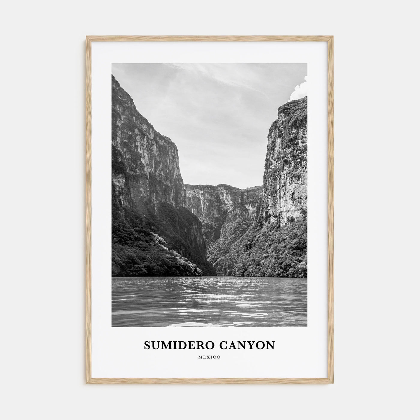 Sumidero Canyon Portrait B&W Poster