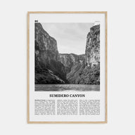 Sumidero Canyon Travel B&W Poster