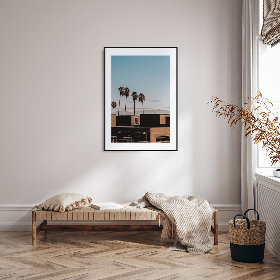 Summer Morning in California Photo Color No 1 Poster