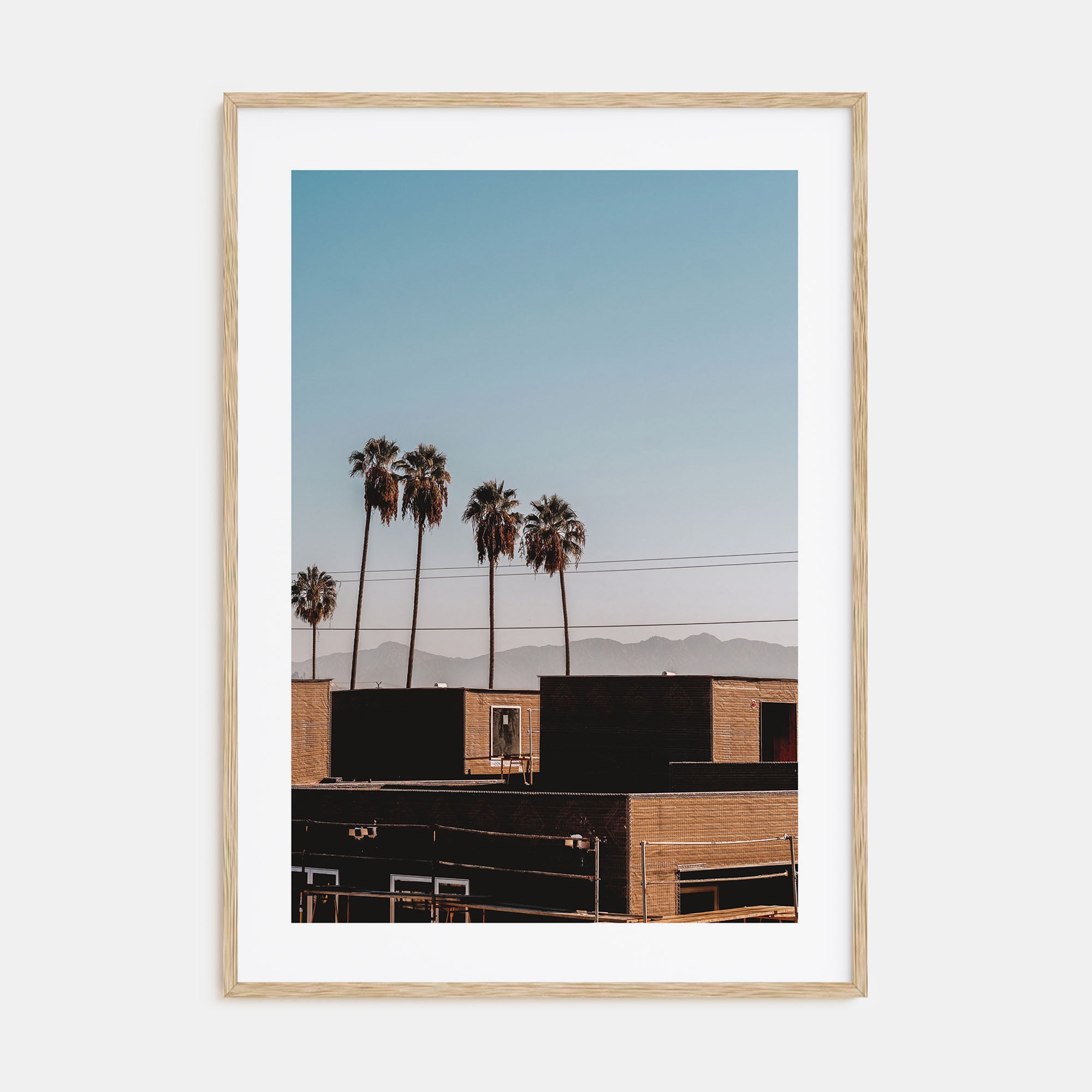 Summer Morning in California Photo Color No 1 Poster