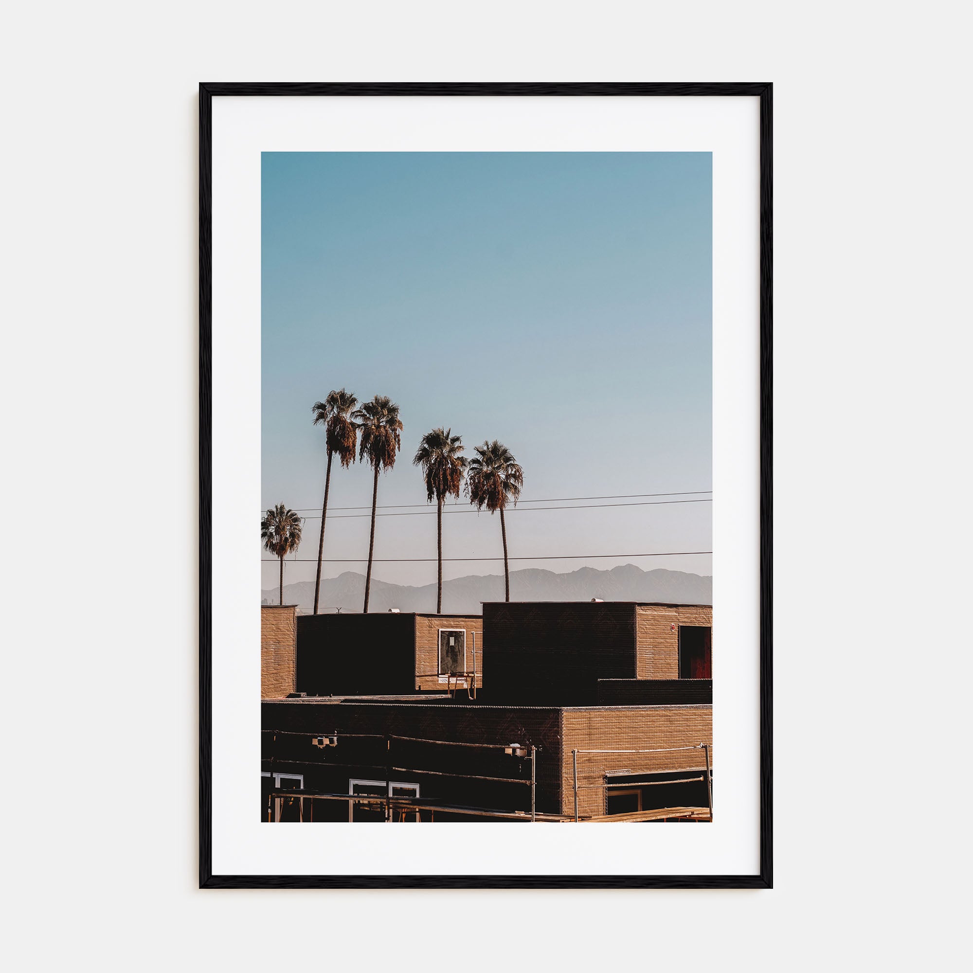 Summer Morning in California Photo Color No 1 Poster