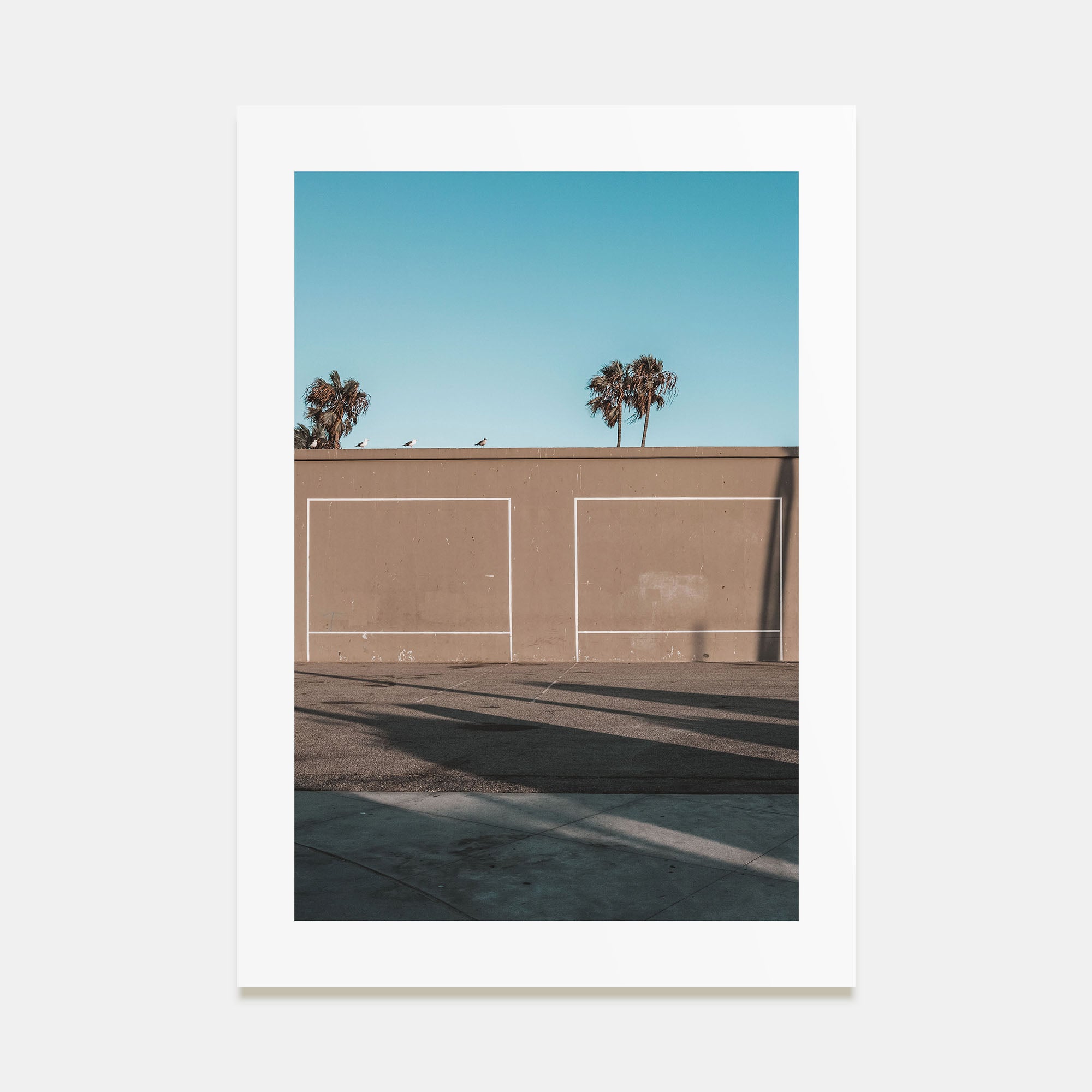 Summer Morning in California Photo Color No 2 Poster