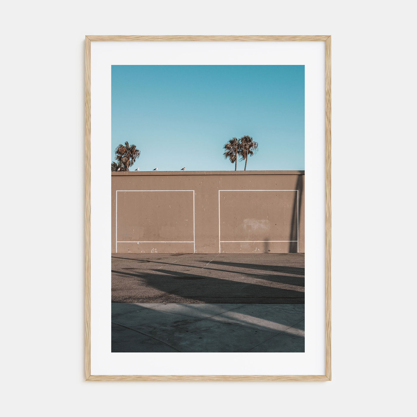 Summer Morning in California Photo Color No 2 Poster