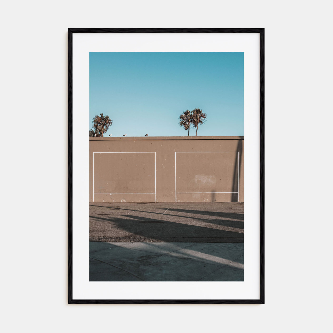 Summer Morning in California Photo Color No 2 Poster