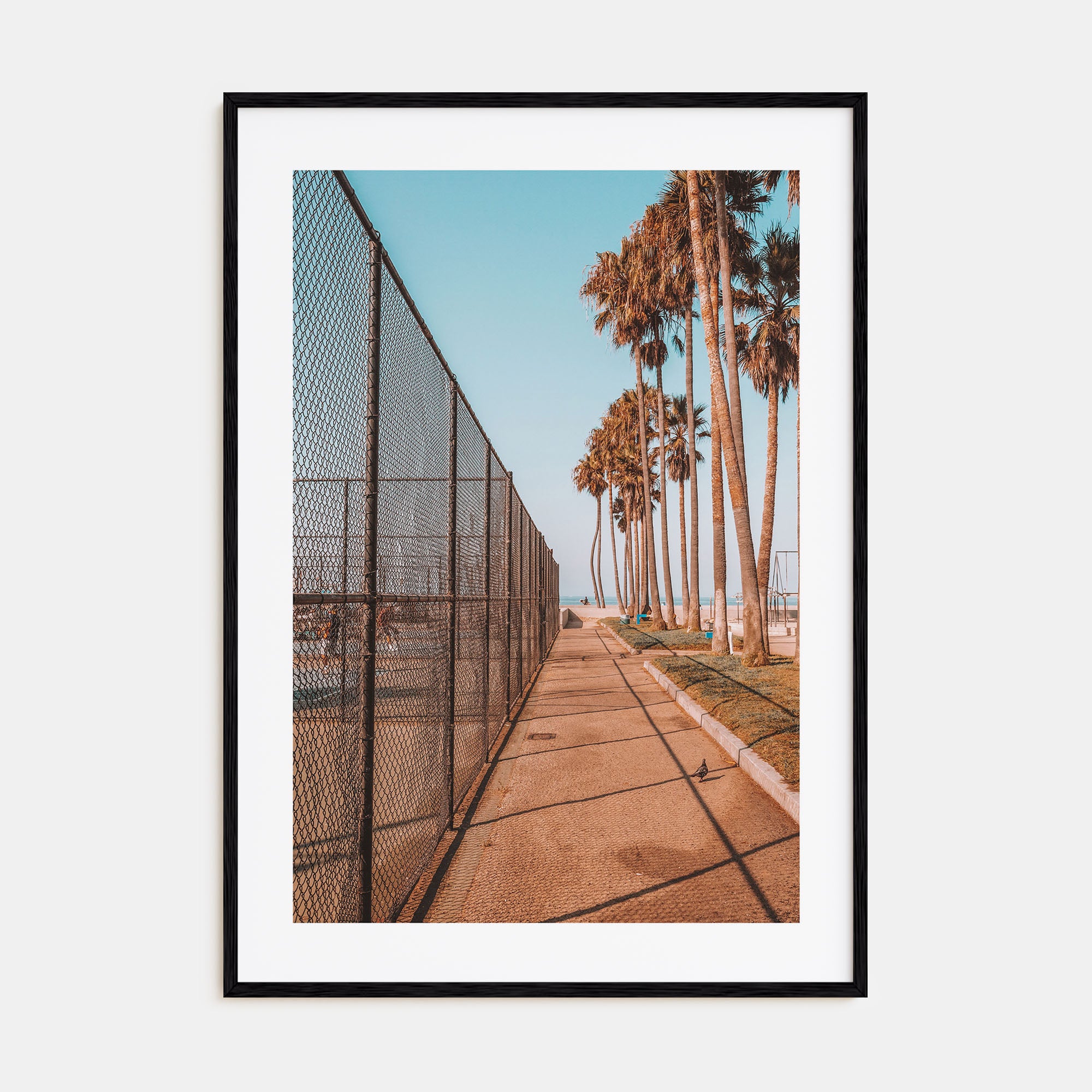 Summer Morning in California Photo Color No 3 Poster