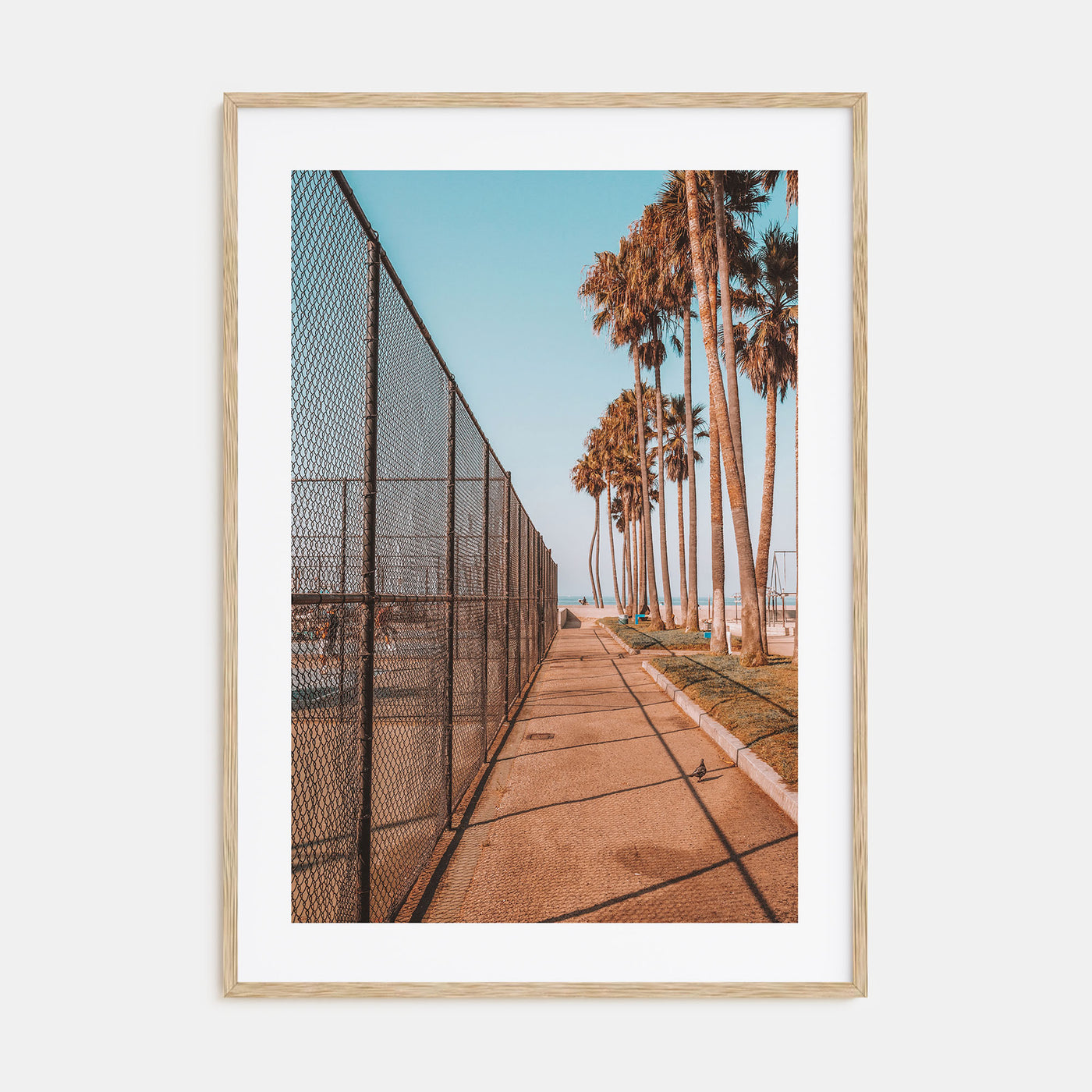 Summer Morning in California Photo Color No 3 Poster