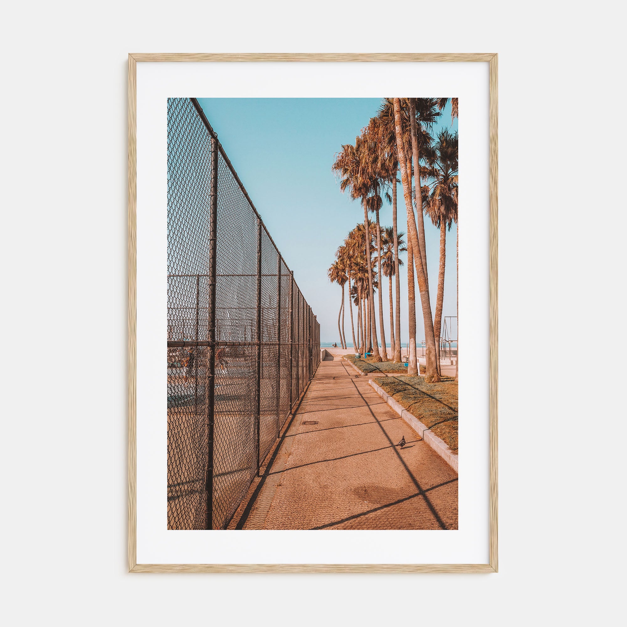 Summer Morning in California Photo Color No 3 Poster