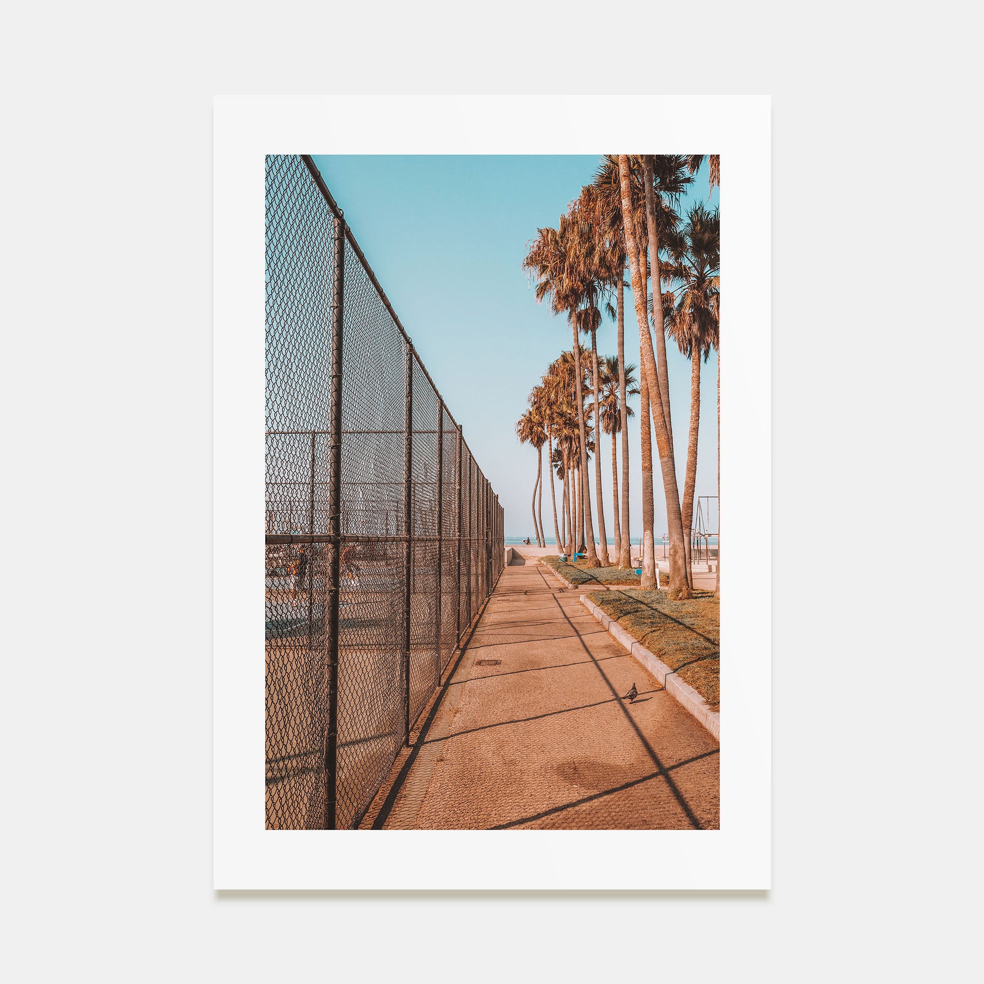 Summer Morning in California Photo Color No 3 Poster