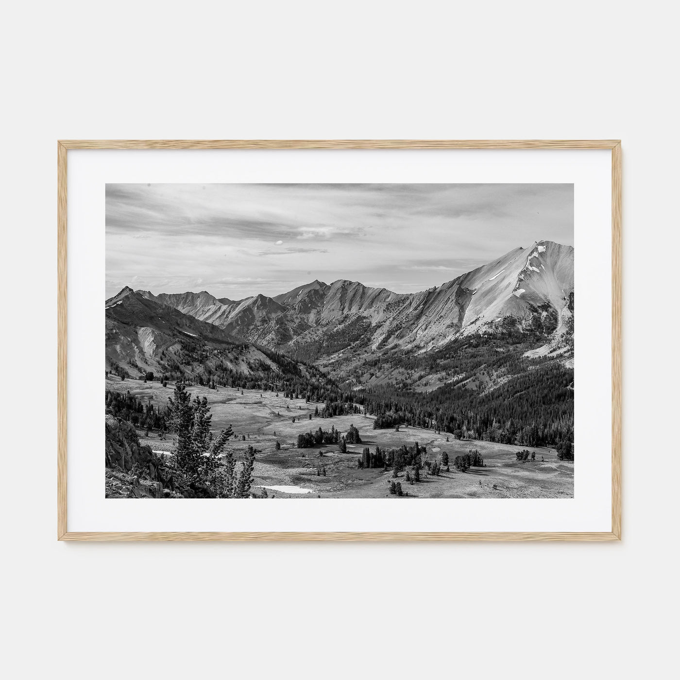Sun Valley Landscape B&W Poster