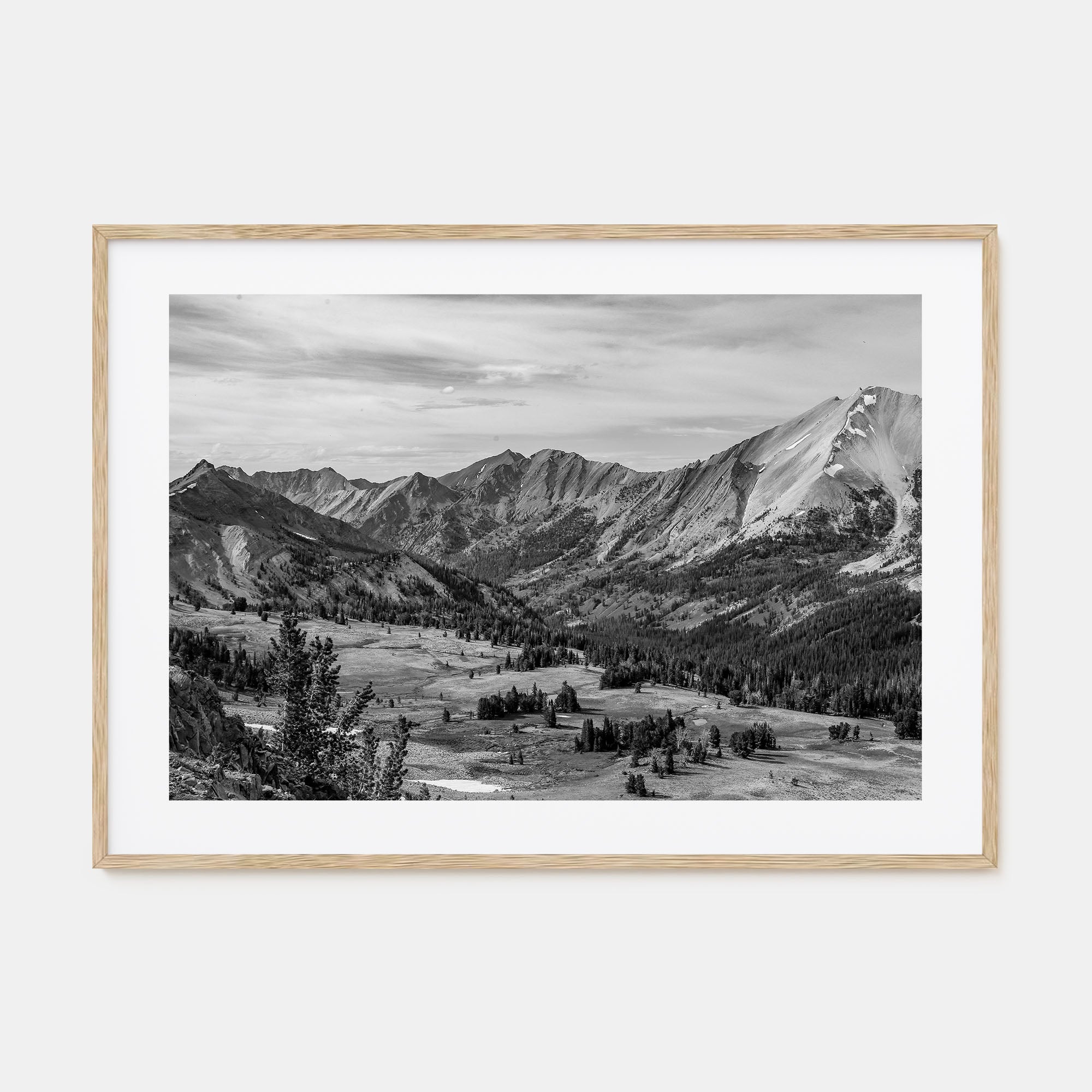 Sun Valley Landscape B&W Poster