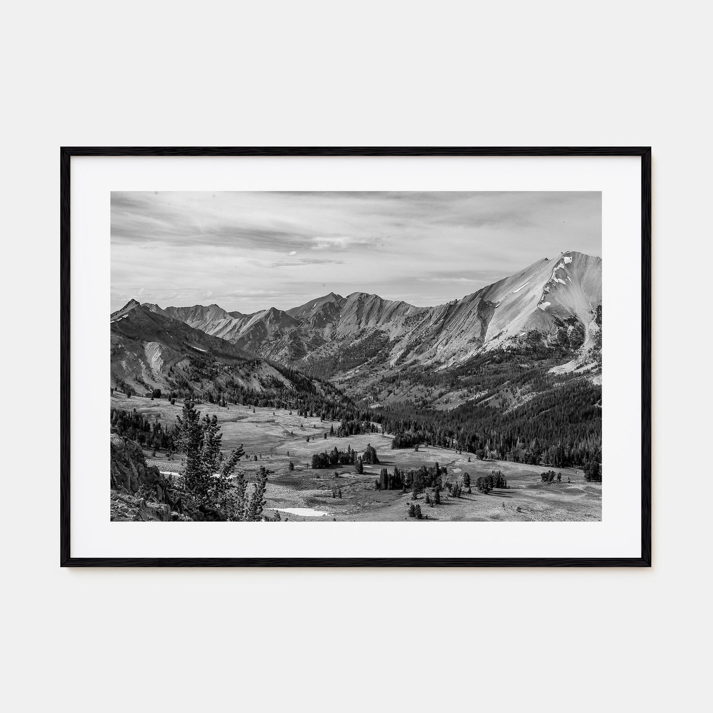 Sun Valley Landscape B&W Poster
