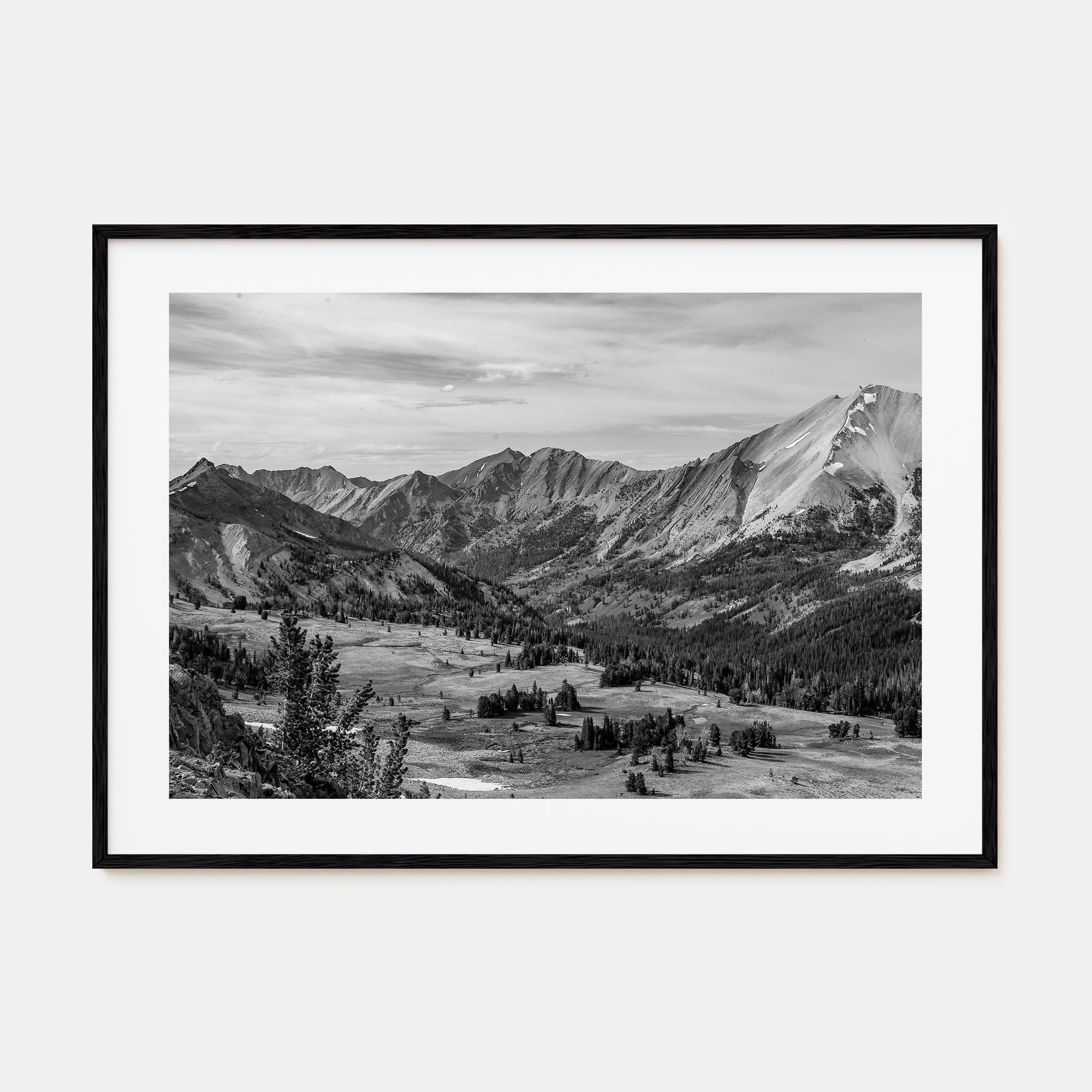 Sun Valley Landscape B&W Poster