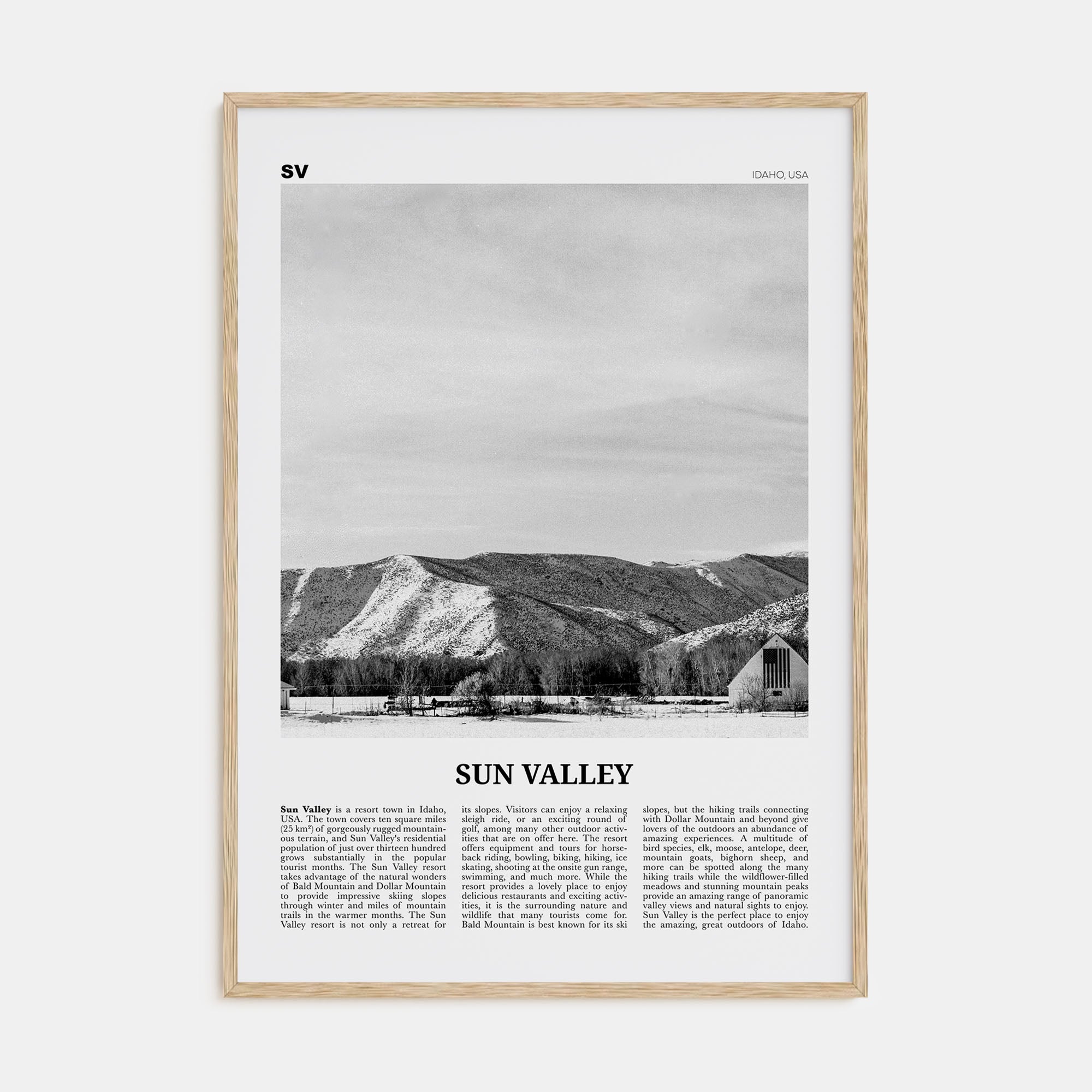 Sun Valley Travel B&W Poster