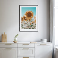 Sunflower Blue Sky Photo Color Poster