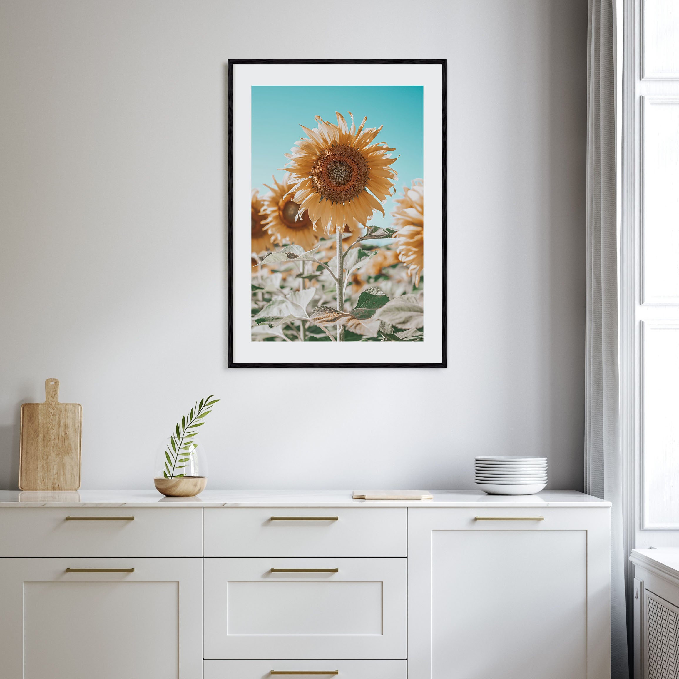 Sunflower Blue Sky Photo Color Poster