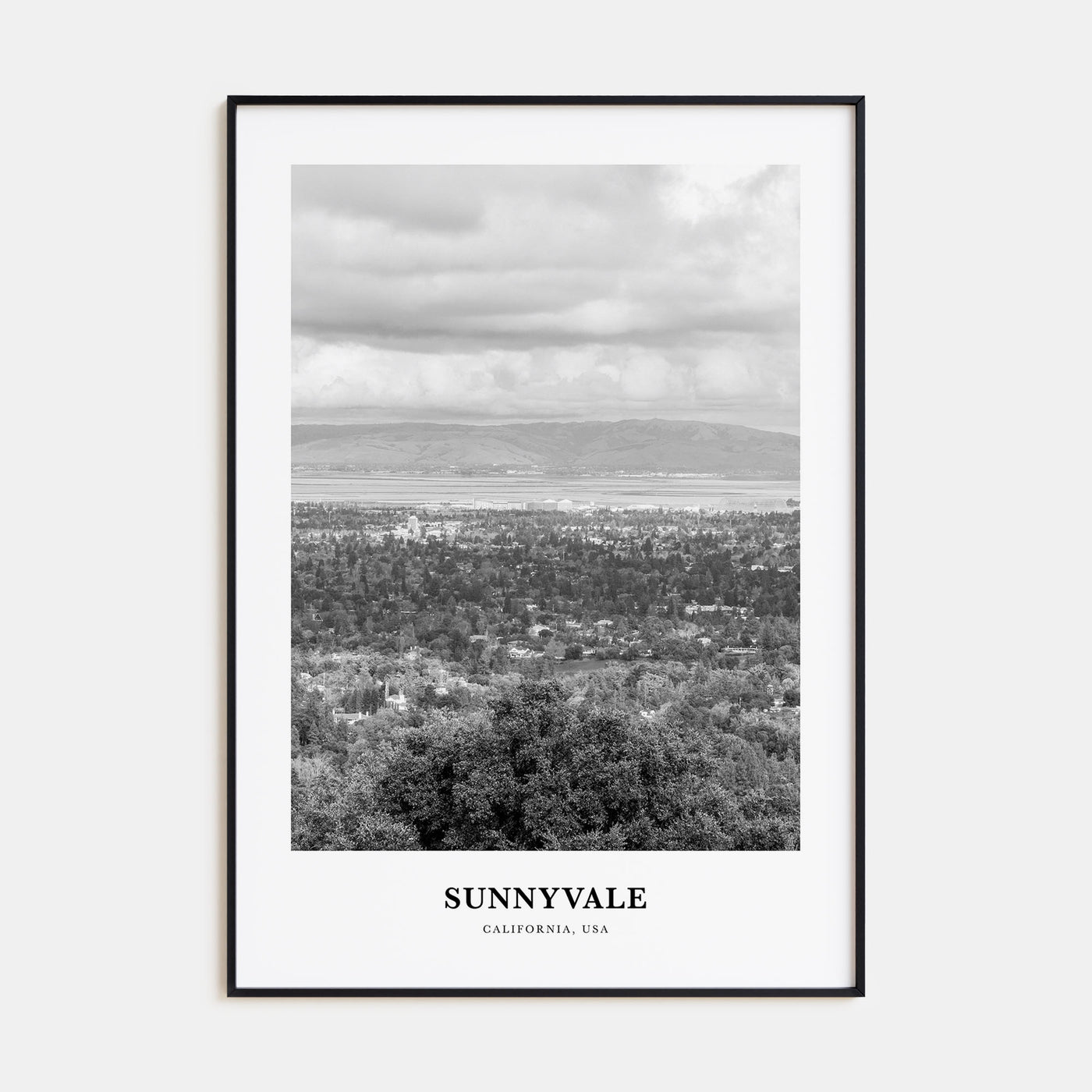 Sunnyvale Portrait B&W Poster