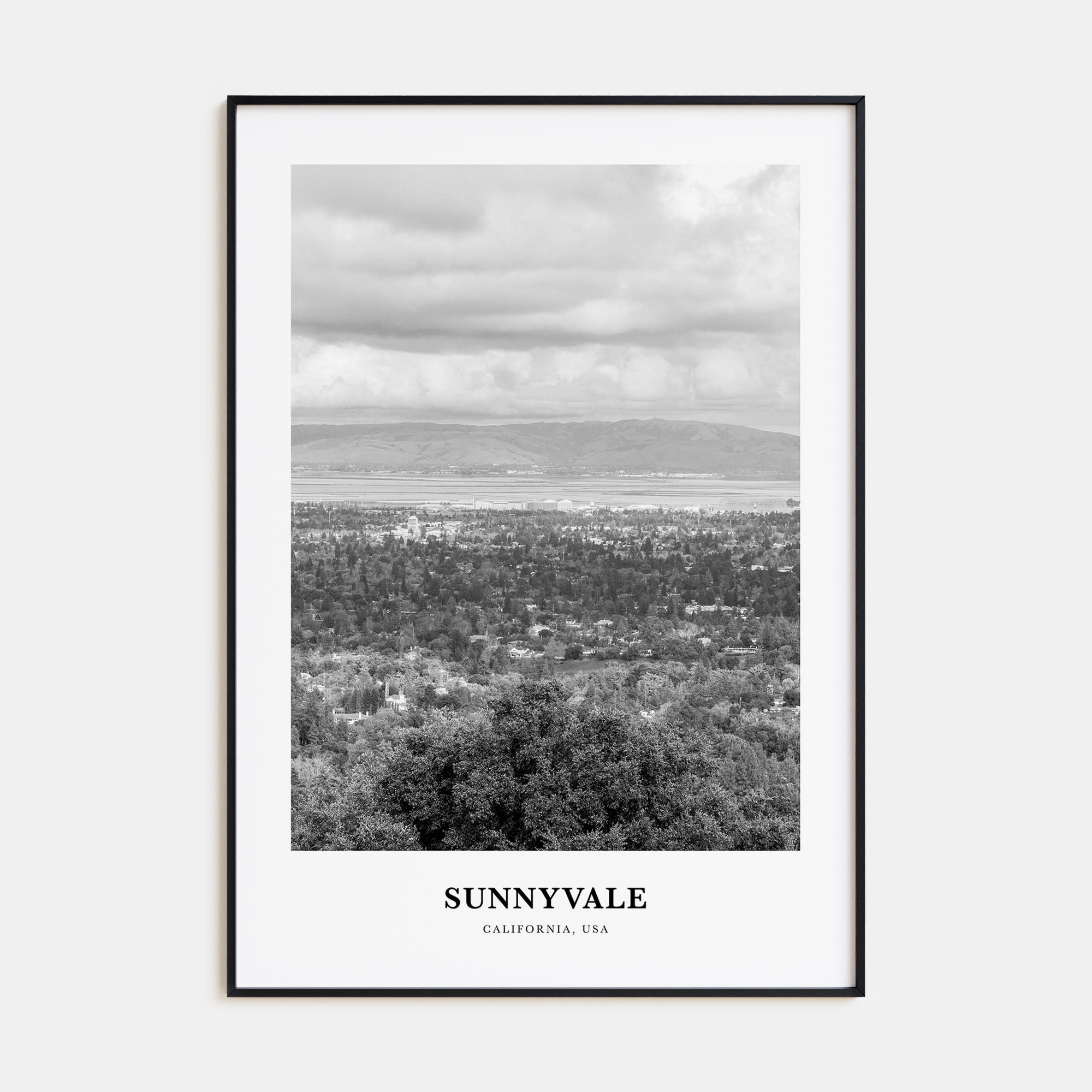 Sunnyvale Portrait B&W Poster