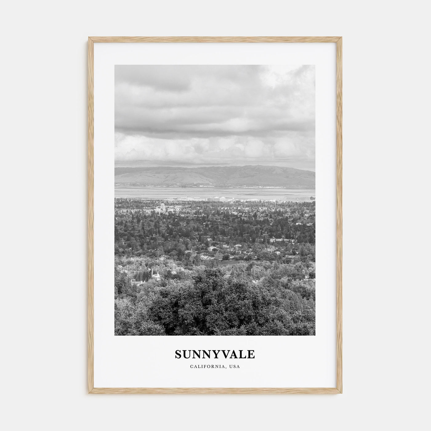 Sunnyvale Portrait B&W Poster
