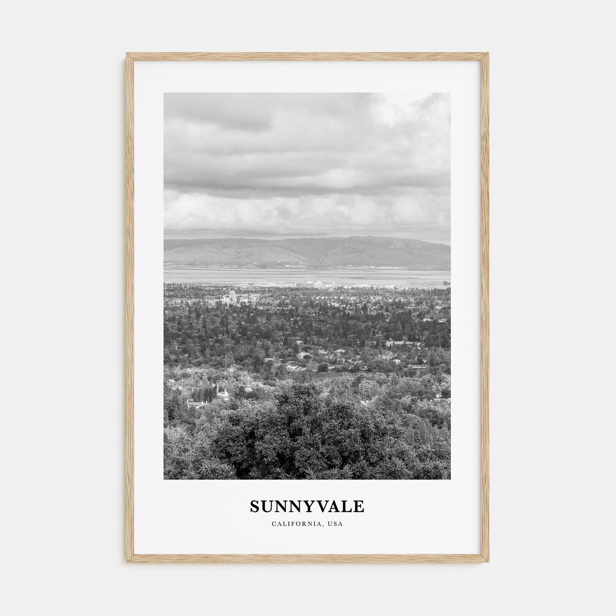 Sunnyvale Portrait B&W Poster
