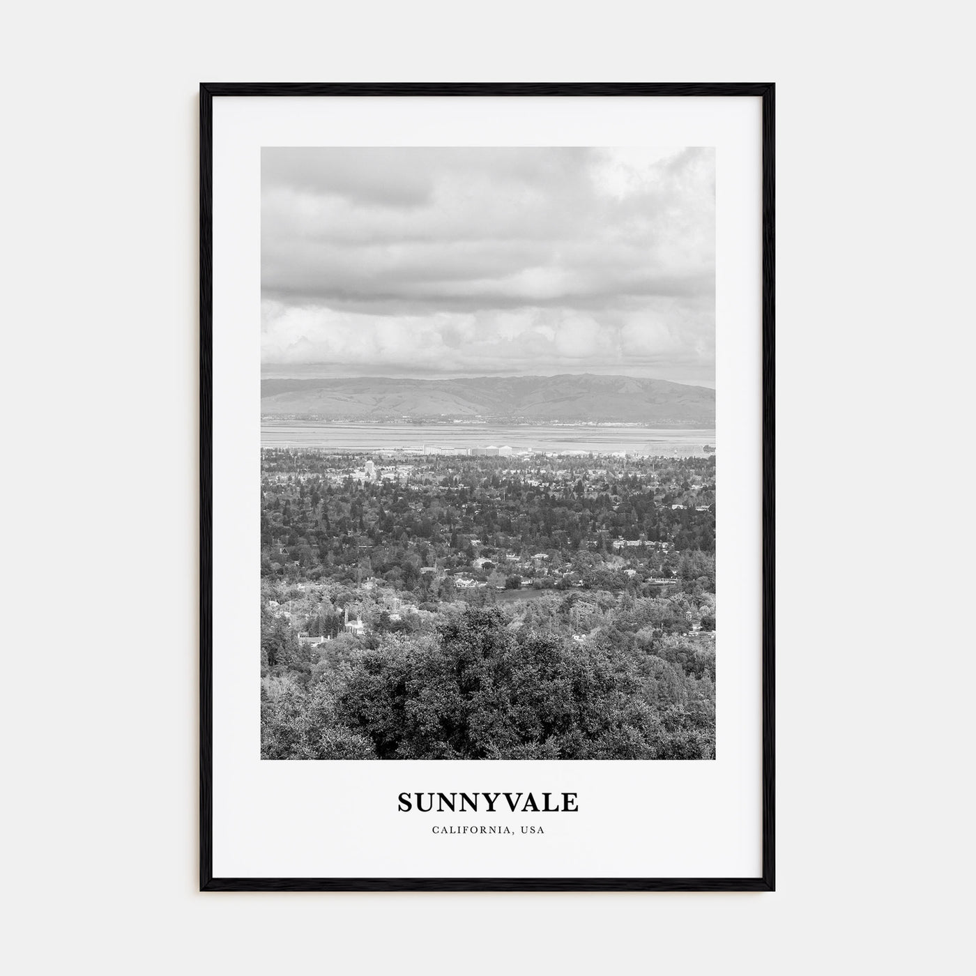 Sunnyvale Portrait B&W Poster