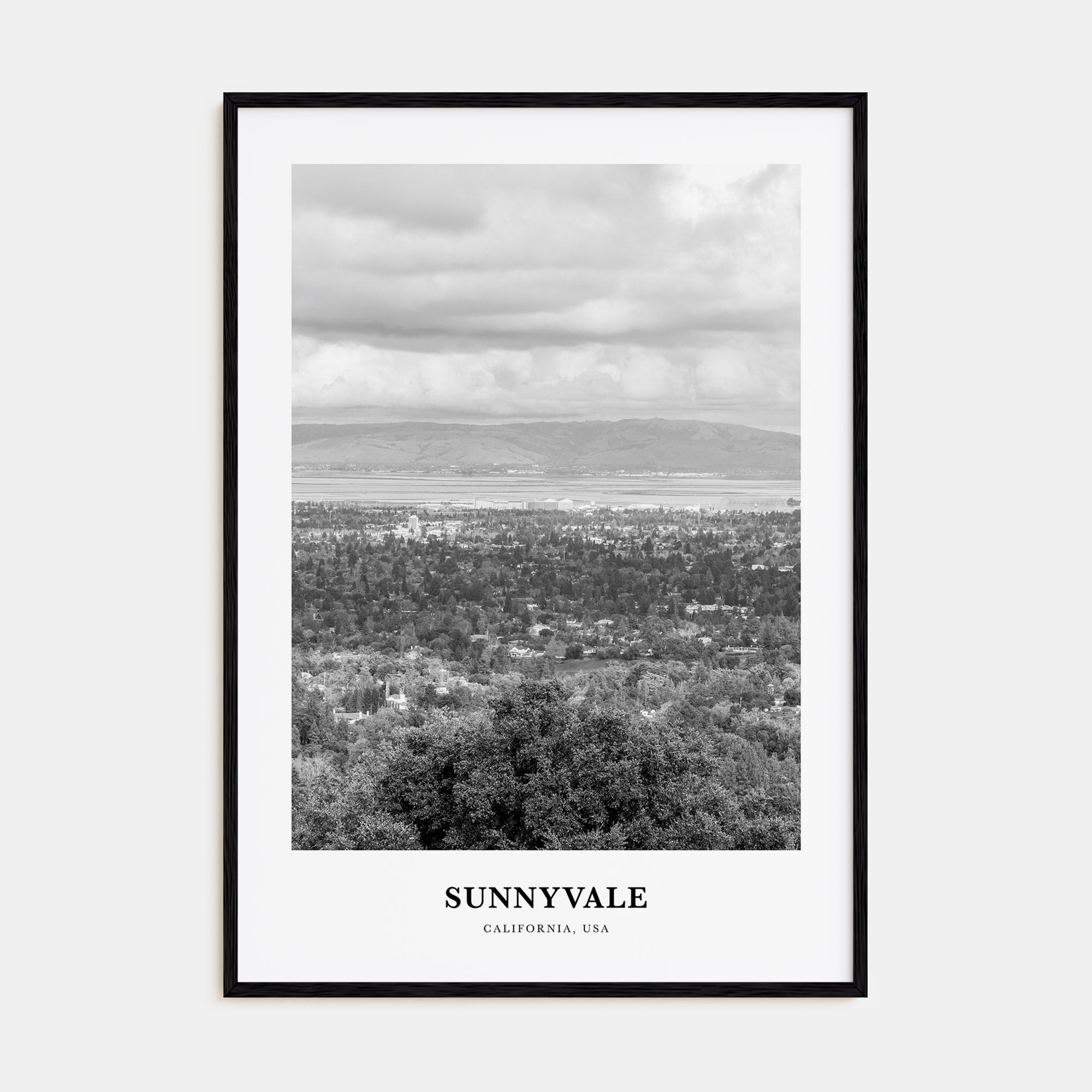 Sunnyvale Portrait B&W Poster