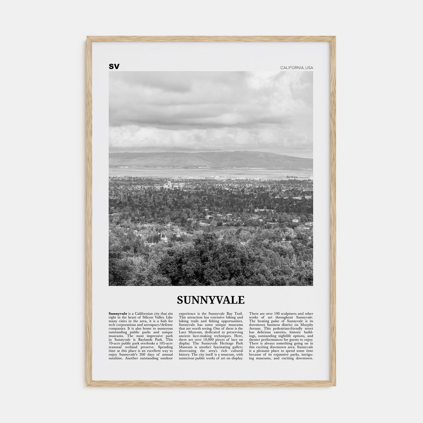 Sunnyvale Travel B&W Poster