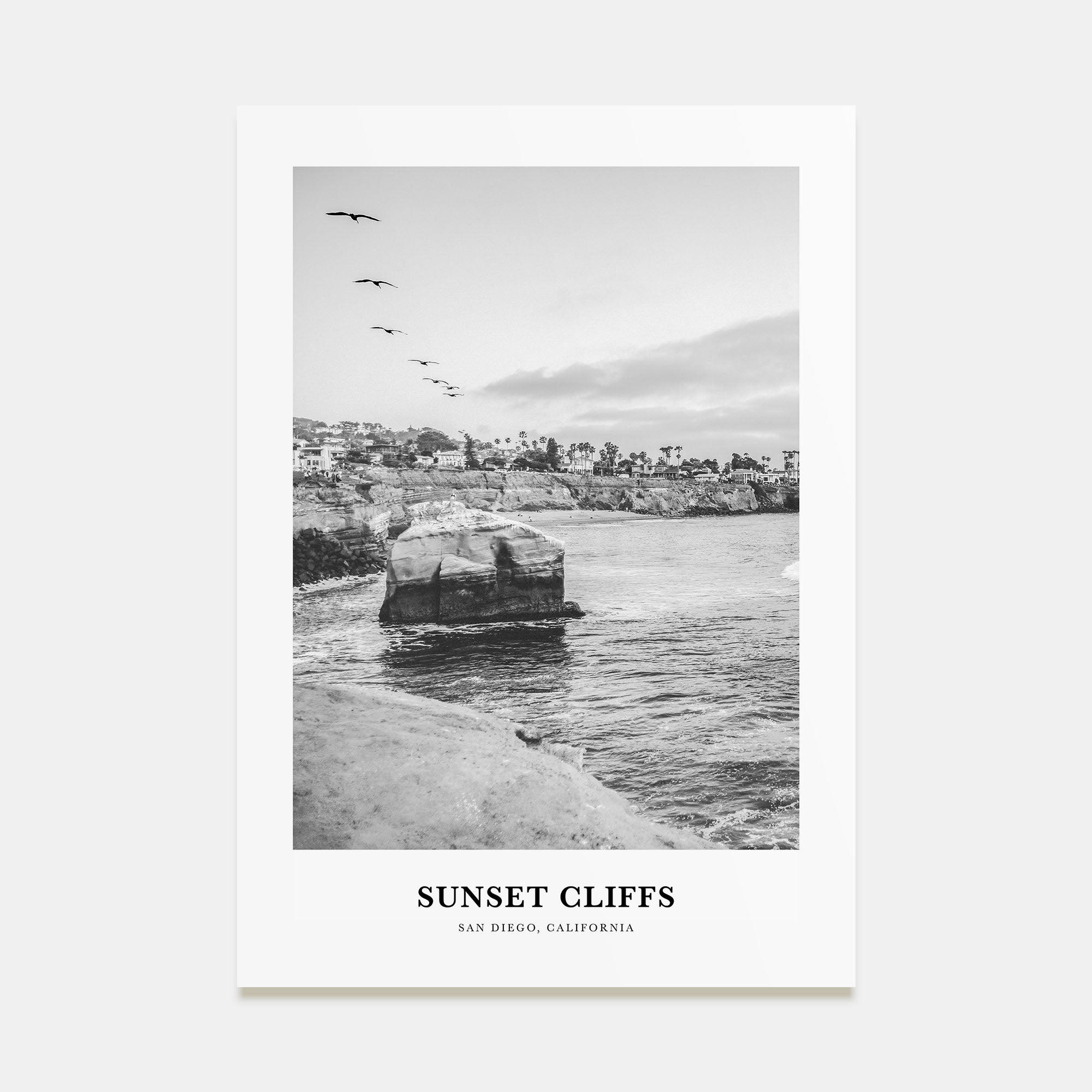 Sunset Cliffs Portrait B&W Poster