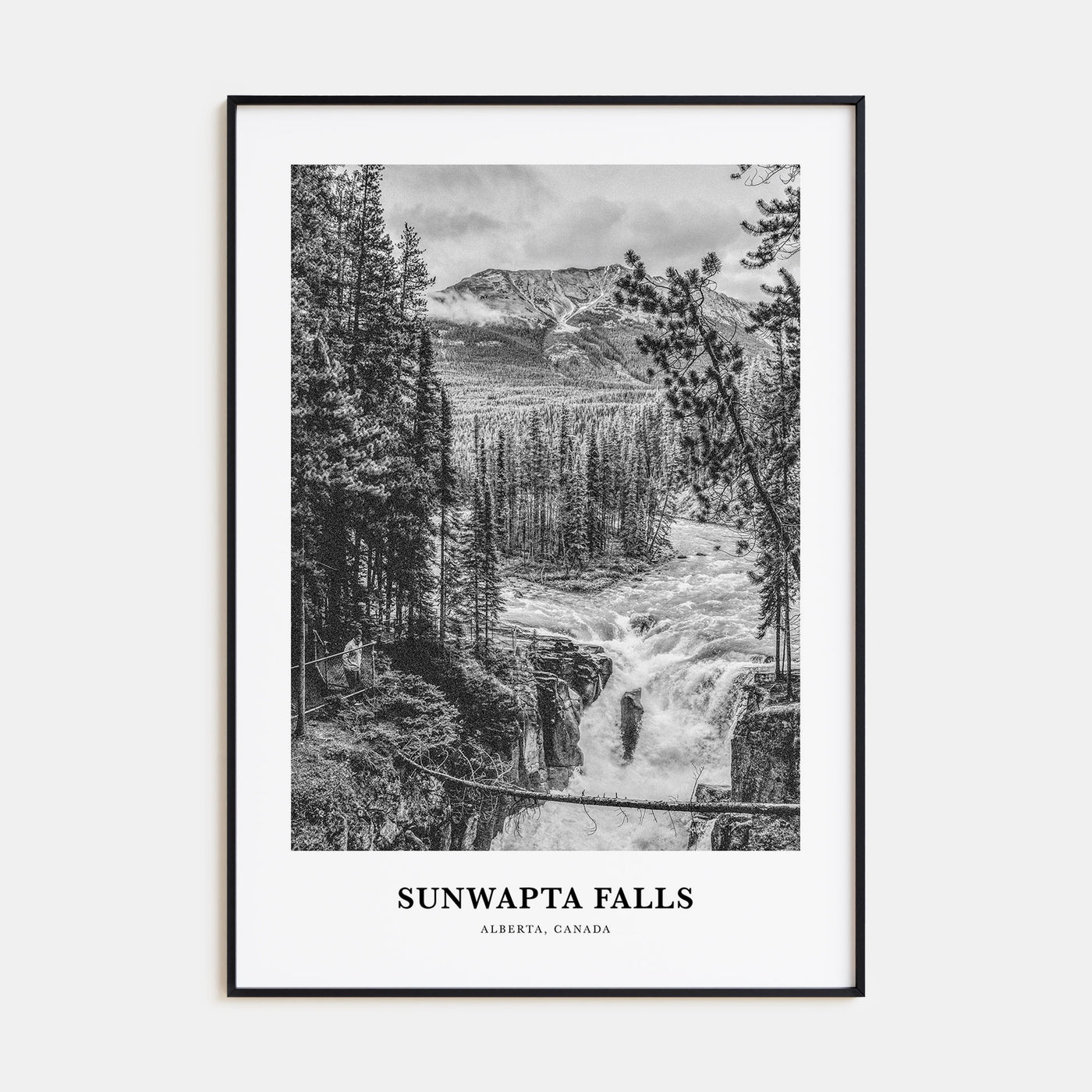 Sunwapta Falls Portrait B&W Poster