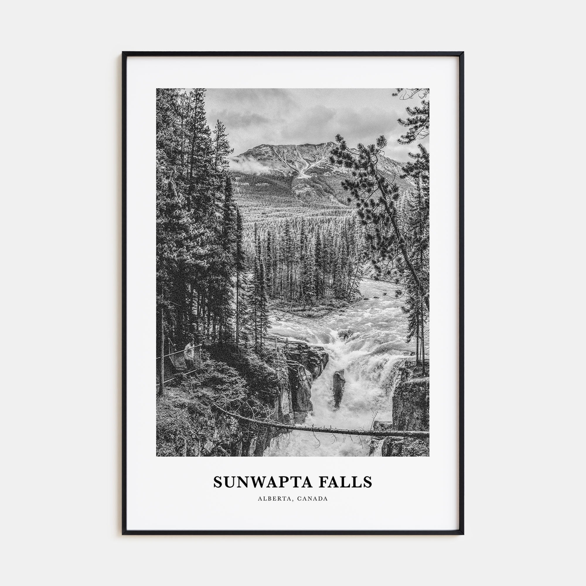Sunwapta Falls Portrait B&W Poster