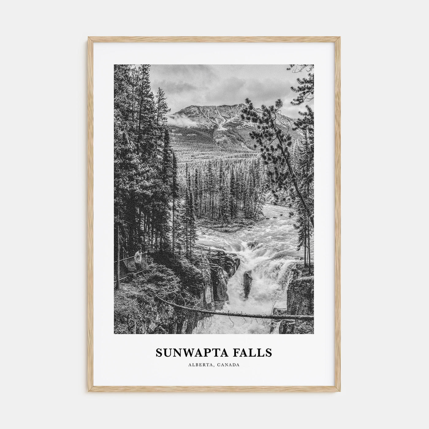 Sunwapta Falls Portrait B&W Poster