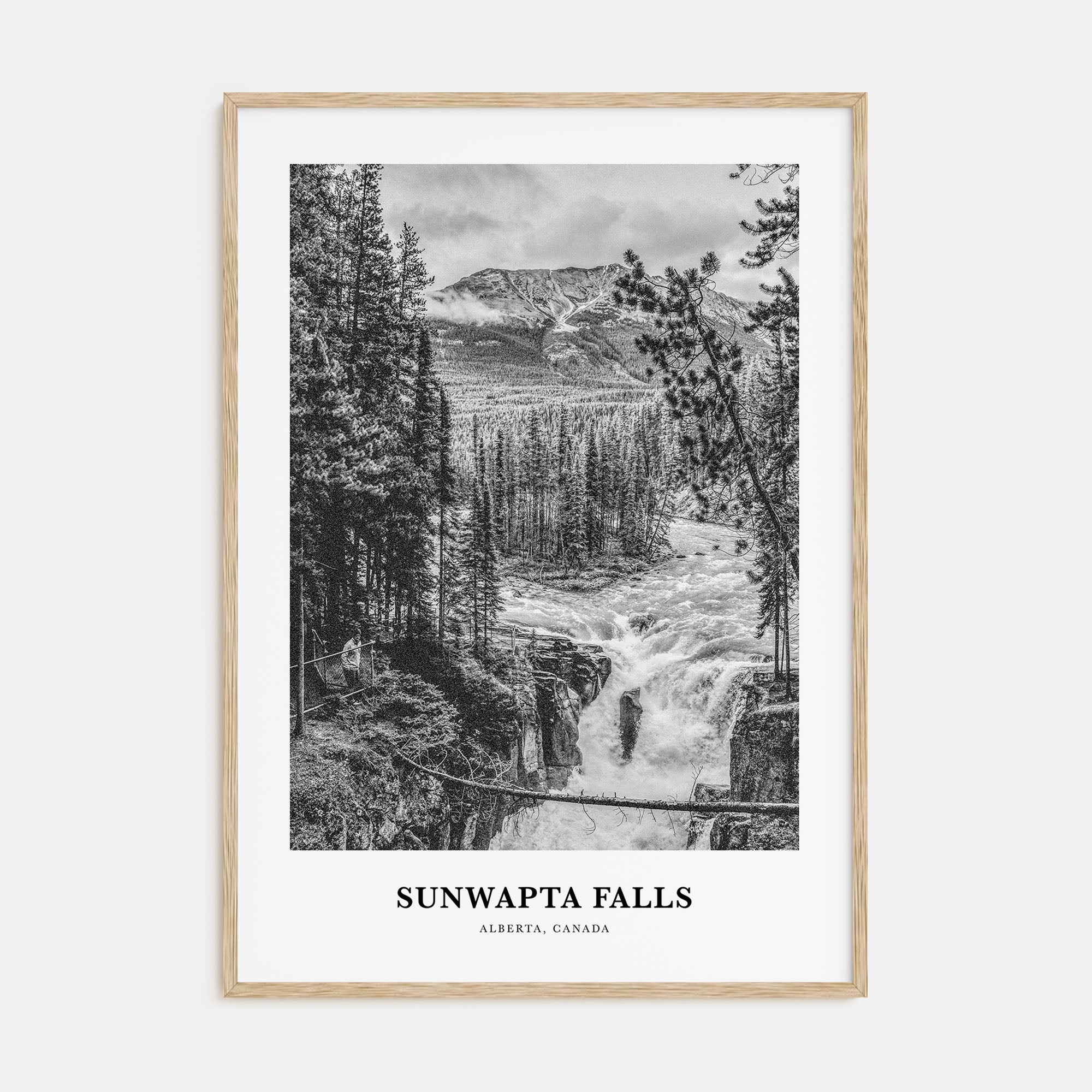 Sunwapta Falls Portrait B&W Poster
