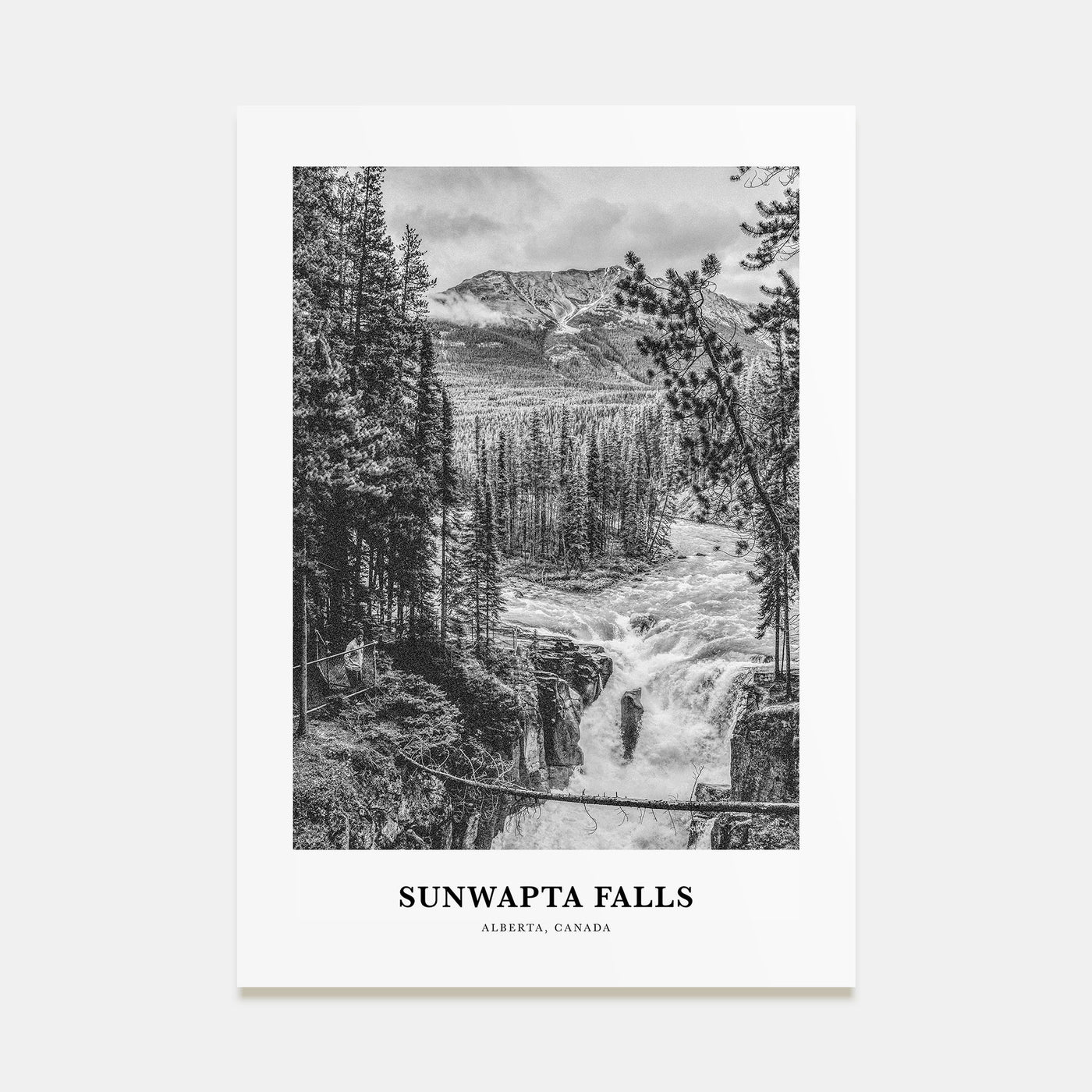 Sunwapta Falls Portrait B&W Poster