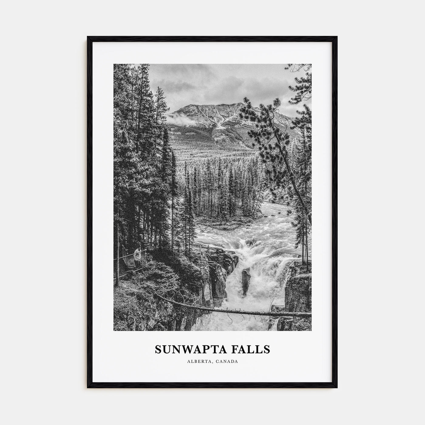 Sunwapta Falls Portrait B&W Poster